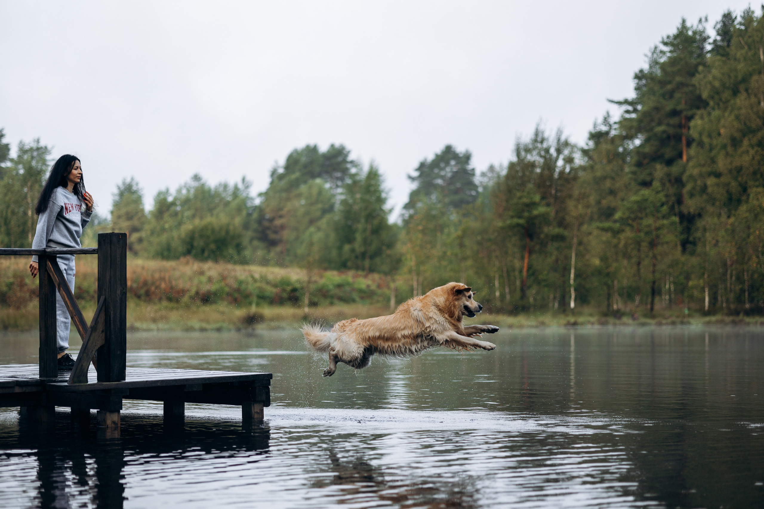 Лёва и его семья. Фотограф — Анималист | Санкт-Петербург