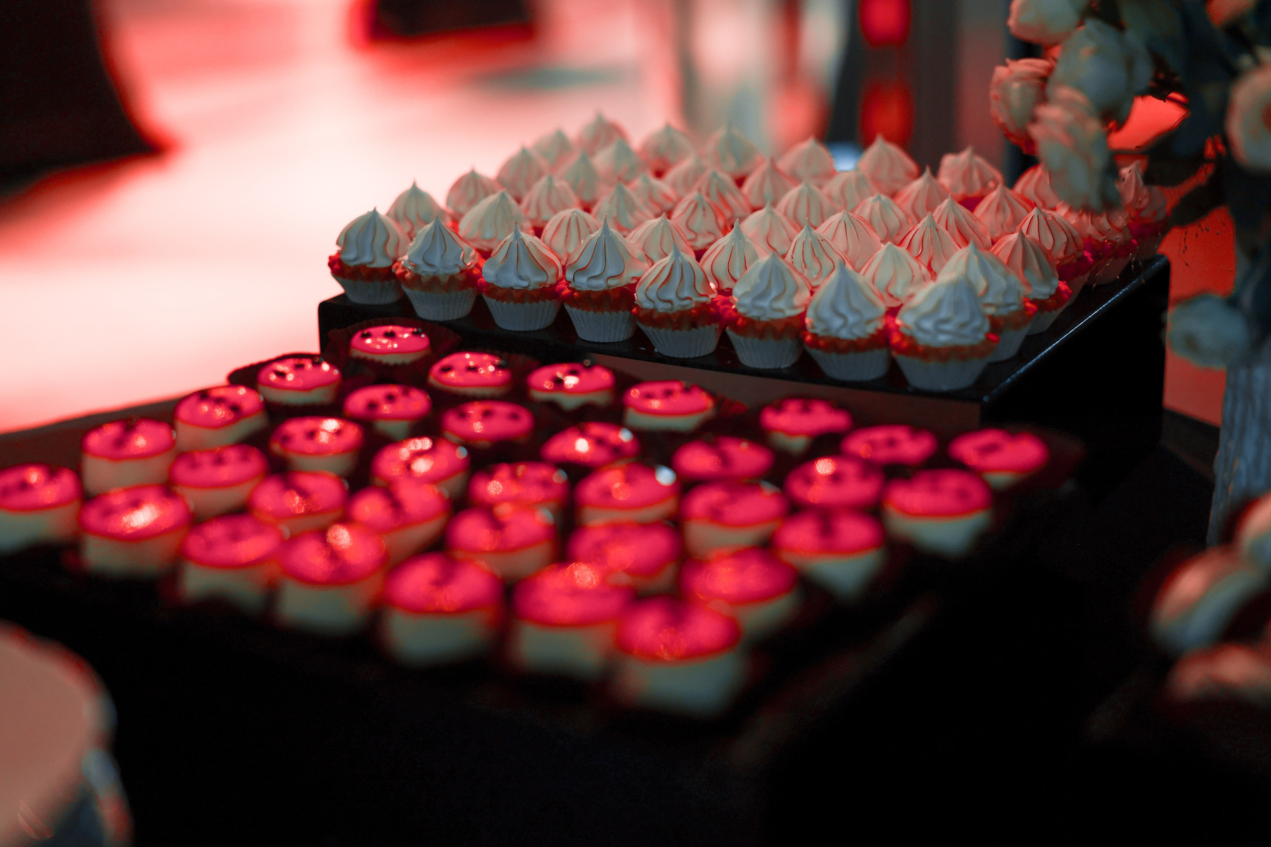 KNGF 2024. MIG — студия спортивной фотографии Михаила Голянского