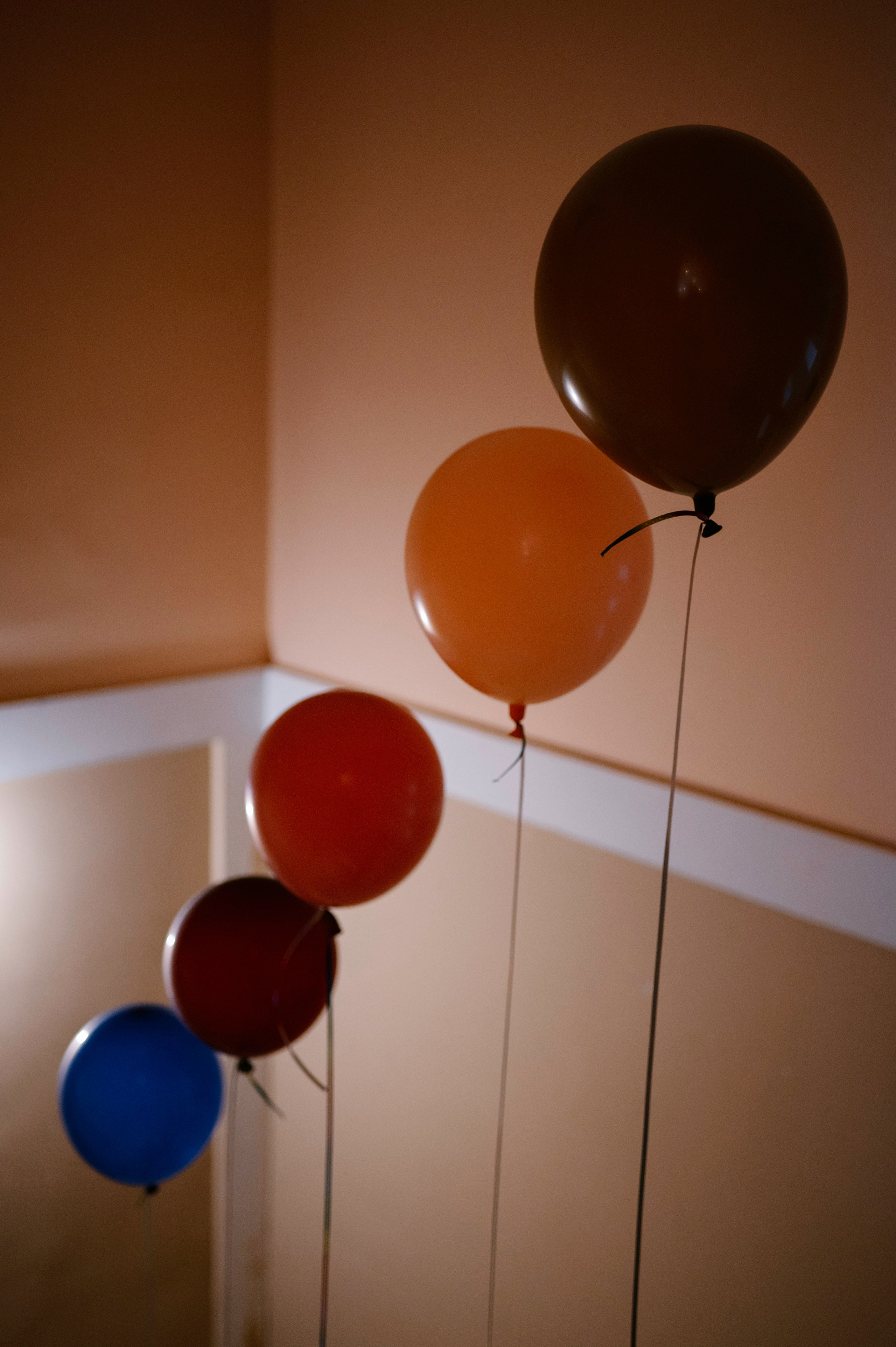 Детские праздники. Фотограф Тверь