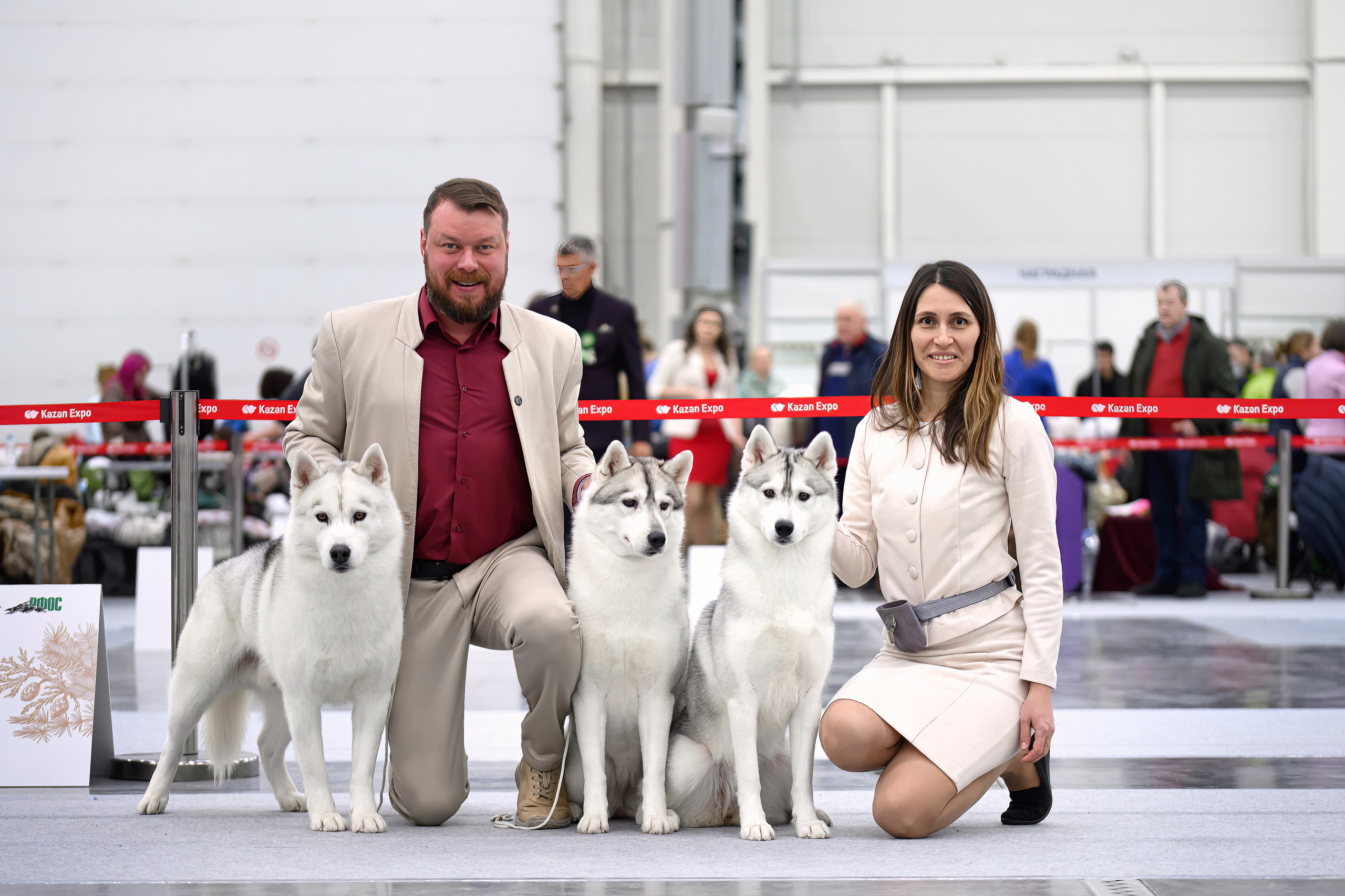 Собаки. FASHION ФОТОГРАФ КАЗАНЬ