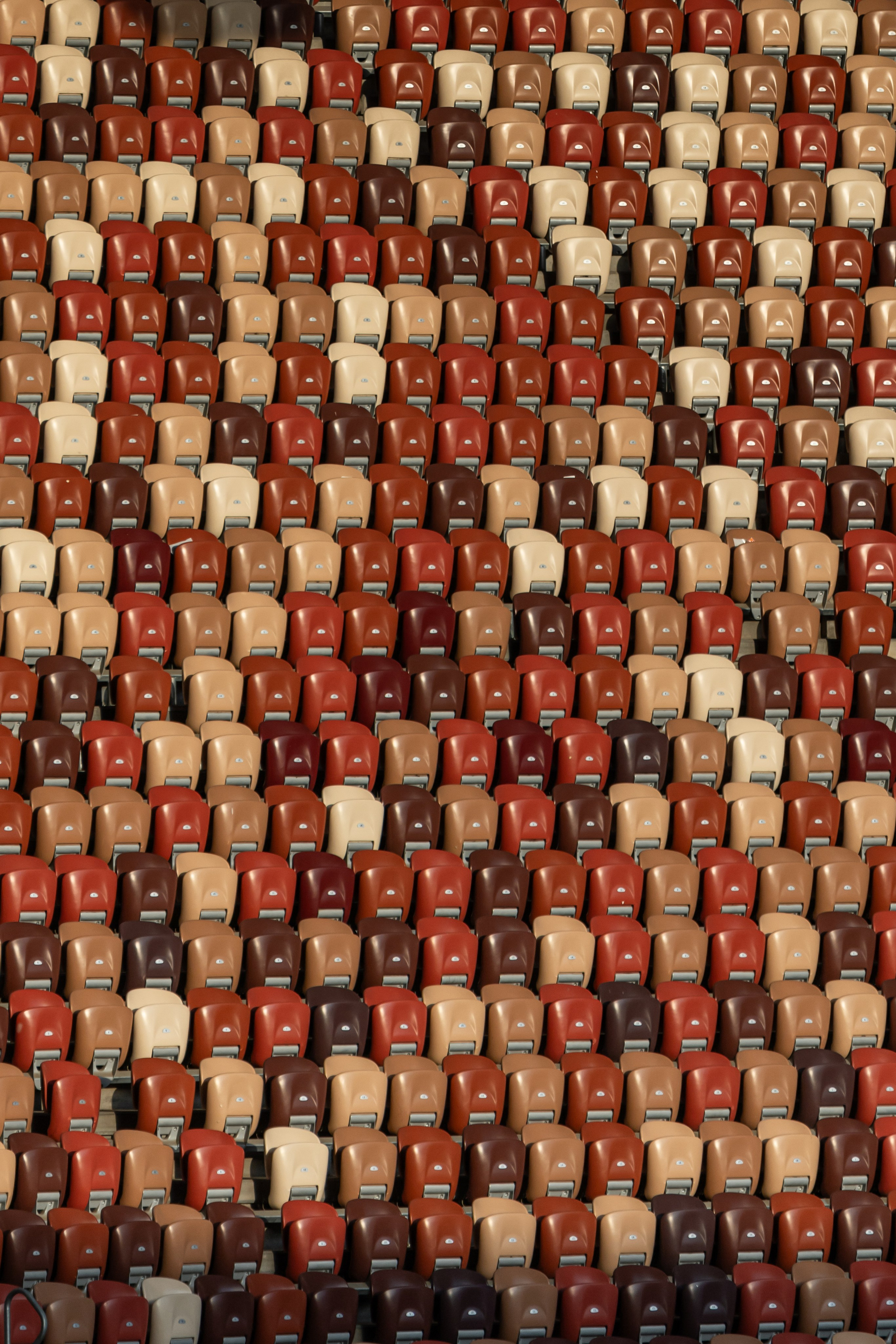 Футбол. Наталья Летунова — репортажный фотограф