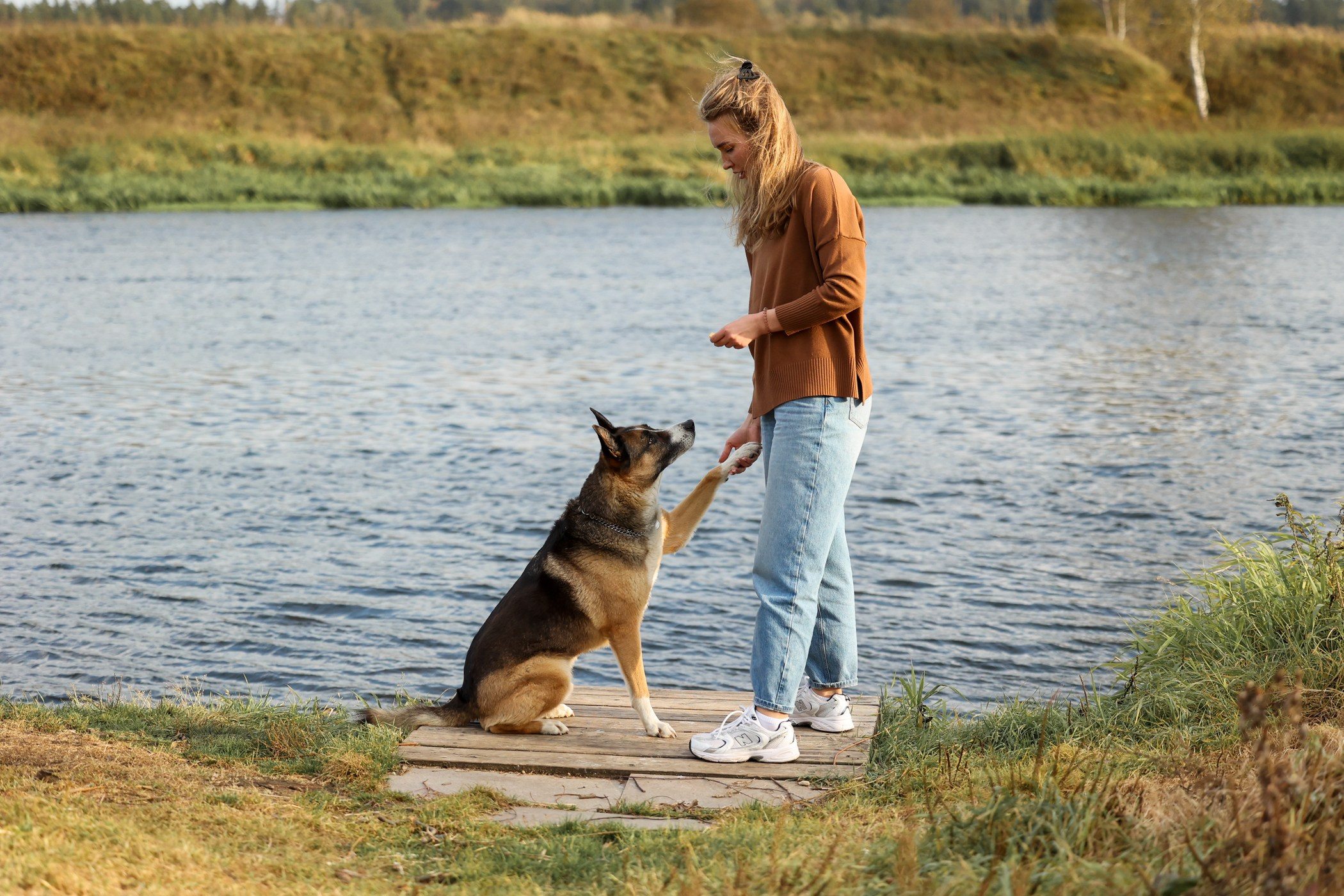 Прогулка на природе. Фотограф-анималист Полина Колкова | Москва