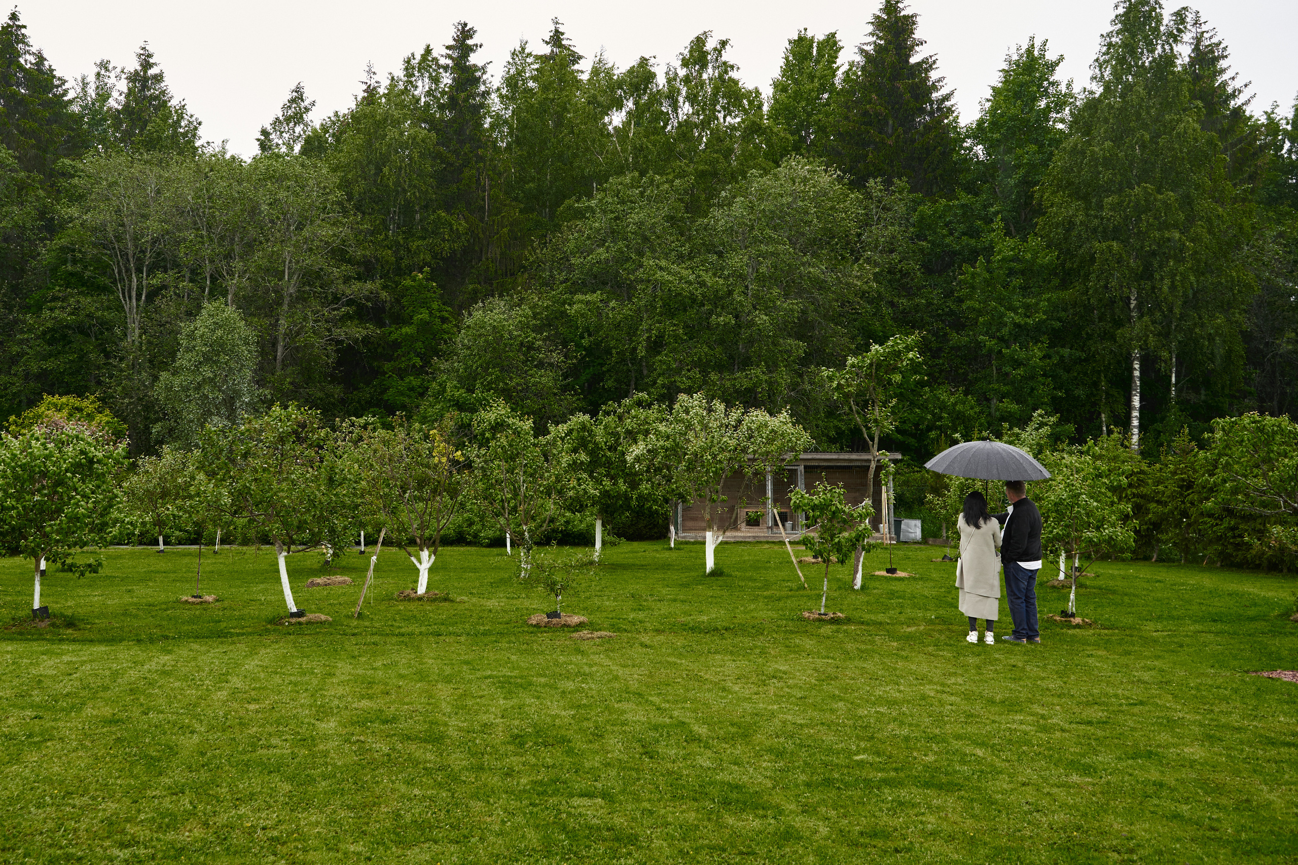 Свадебный репортаж. Свадебный и Репортажный фотограф в Санкт-Петербурге Дмитрий Бирцев