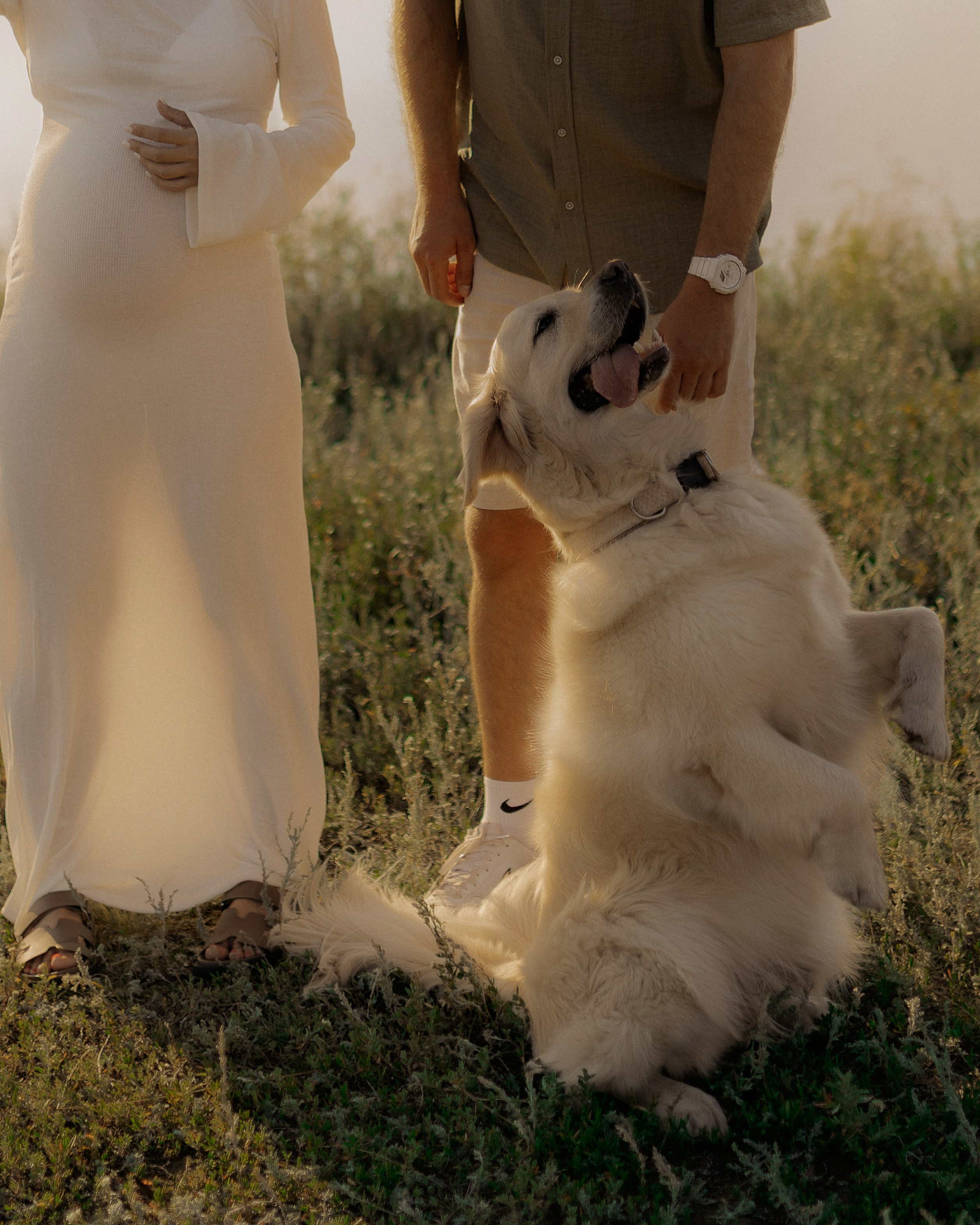 Наталья и Алексей. DARYA.BELKINA