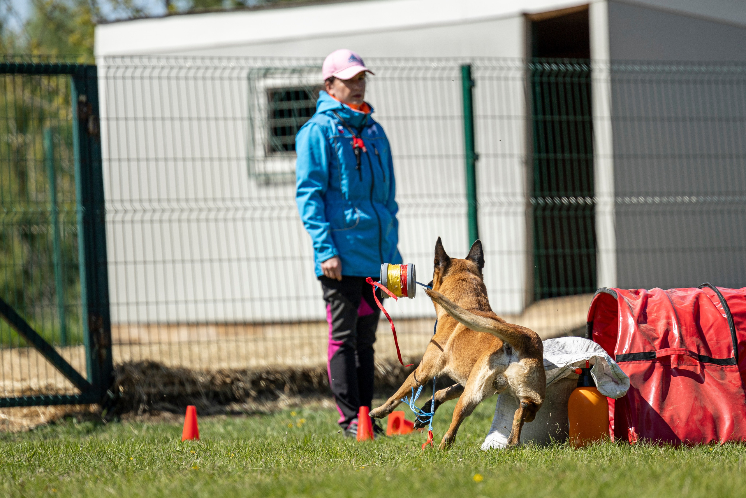 Испытания по мондьорингу в Нижнем Новгороде. Фотограф-анималист Анна Маринич