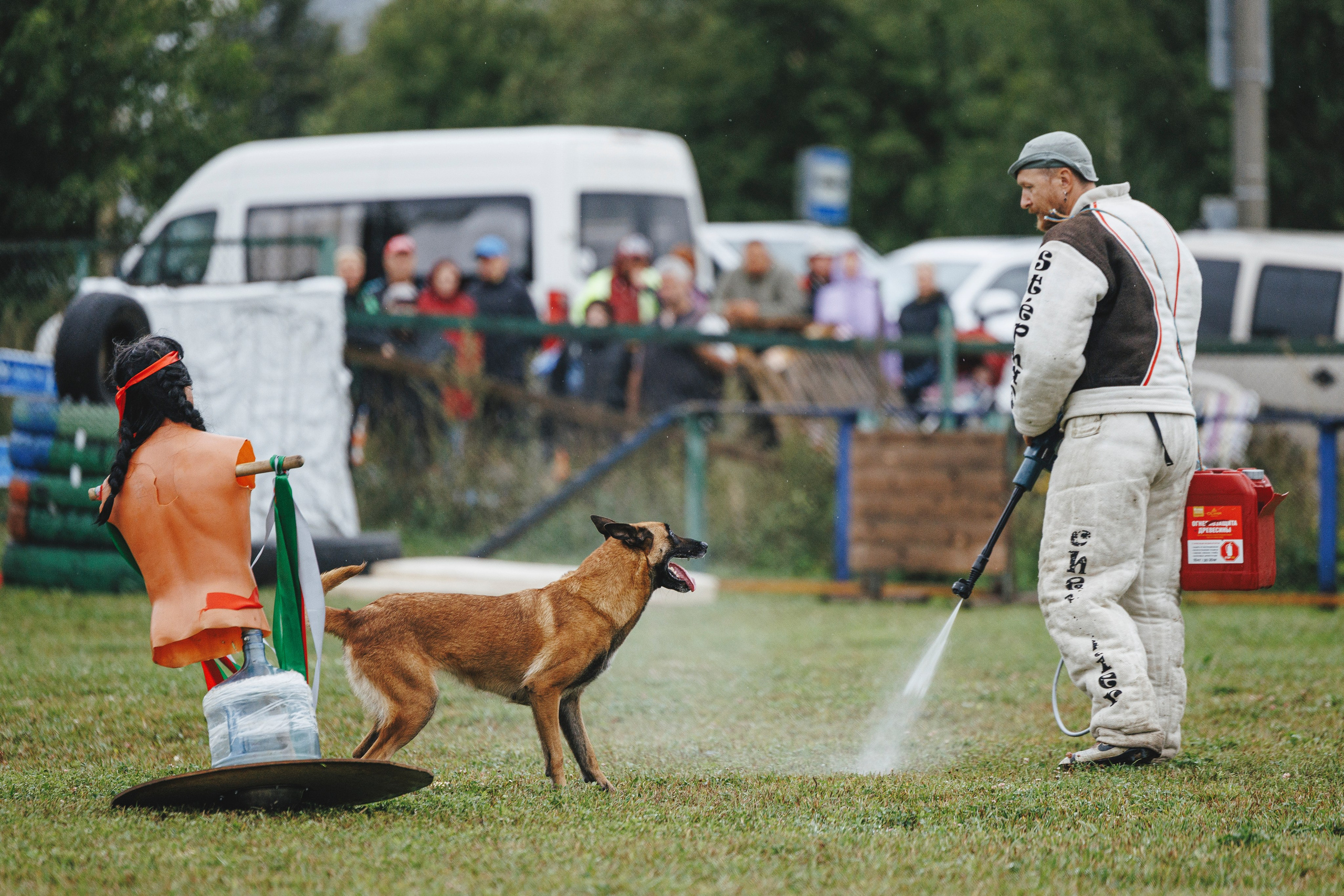 08.08.25-10.08.25 ЧР по мондьорингу г. Вологда. Фотограф-анималист Анна Маринич