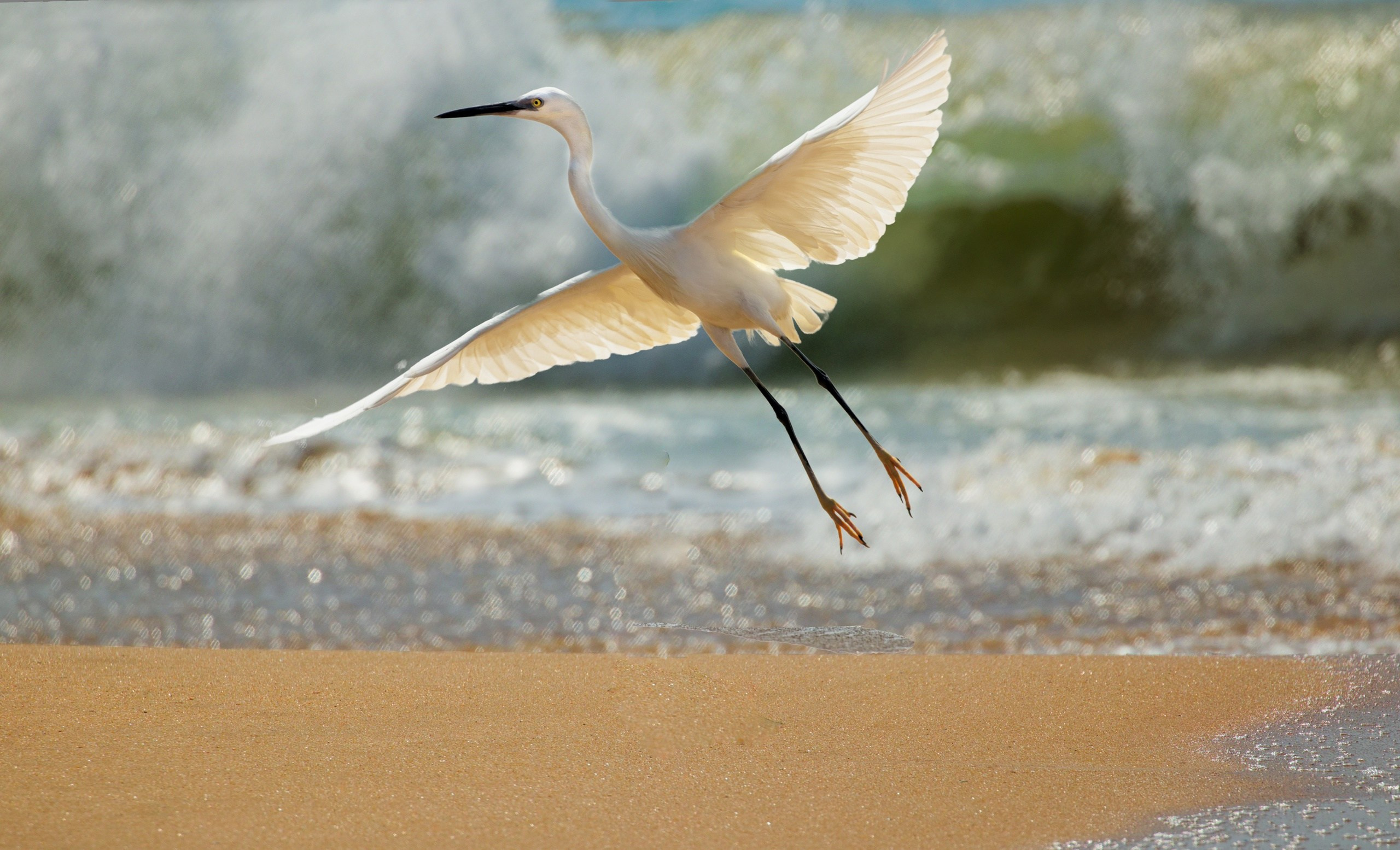 ПРИРОДА. Слепки времени. Фотографии природы и событий. Москва. Сергей Аллагулов