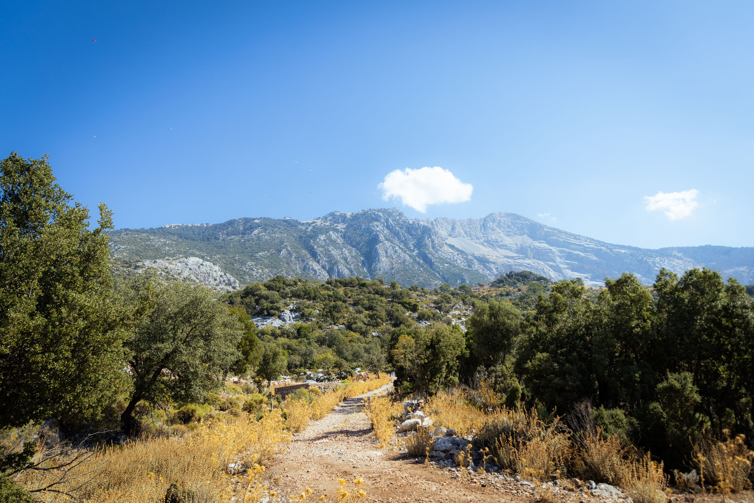 Турция (осень 2023). Фотограф Виноградов Константин
