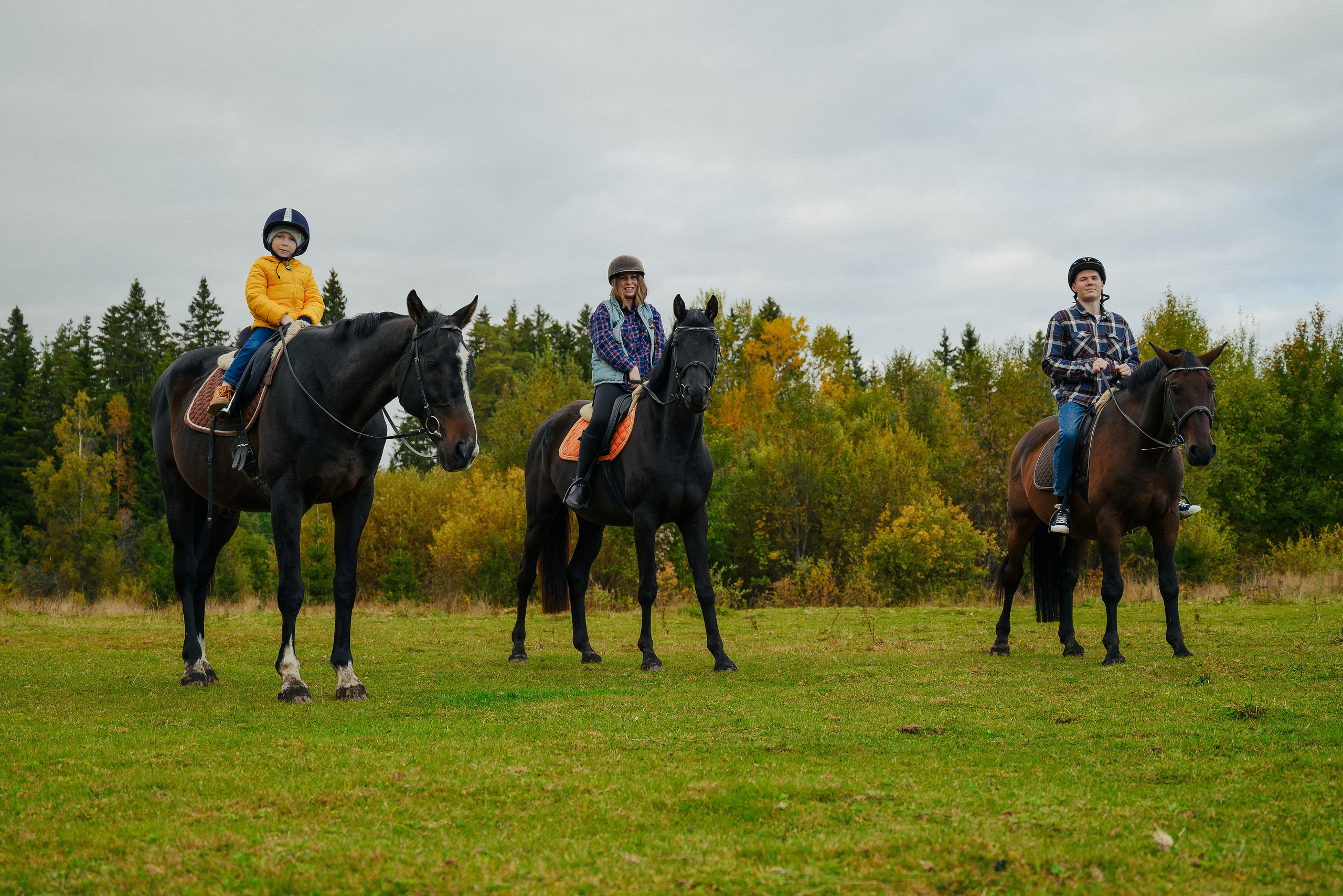 Прогулка с лошадьми. Фотограф в Санкт-Петербурге Виталий Кедов