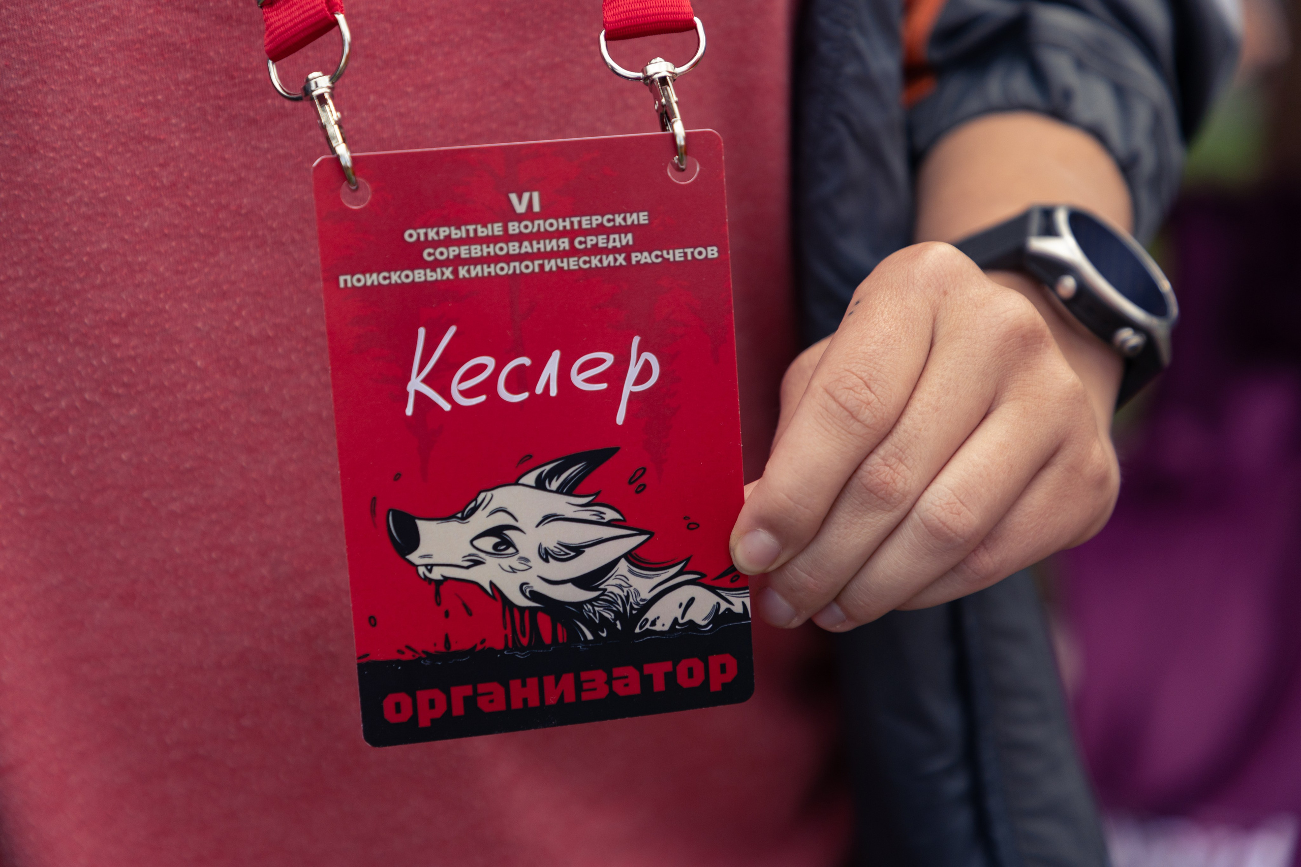 ДПСО «ЛизаАлерт». Главная