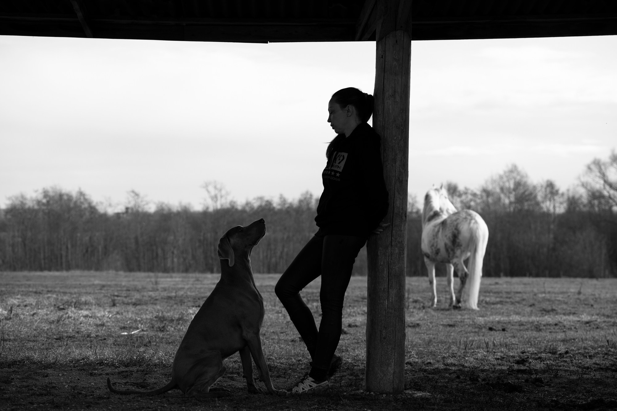 Портретная съемка, портрет девушки, фотография, фотограф спб, портретный фотограф спб, студийная съемка, съемка в студии, профессиональный фотограф, фотосессии дома, фотосессия с девушкой, домашние съемки, фотосессия с парнем, конная фотография, съемка с лошадью, lifestyle фотография, фотограф спб, питер фотограф, лавстори, лайфстайл