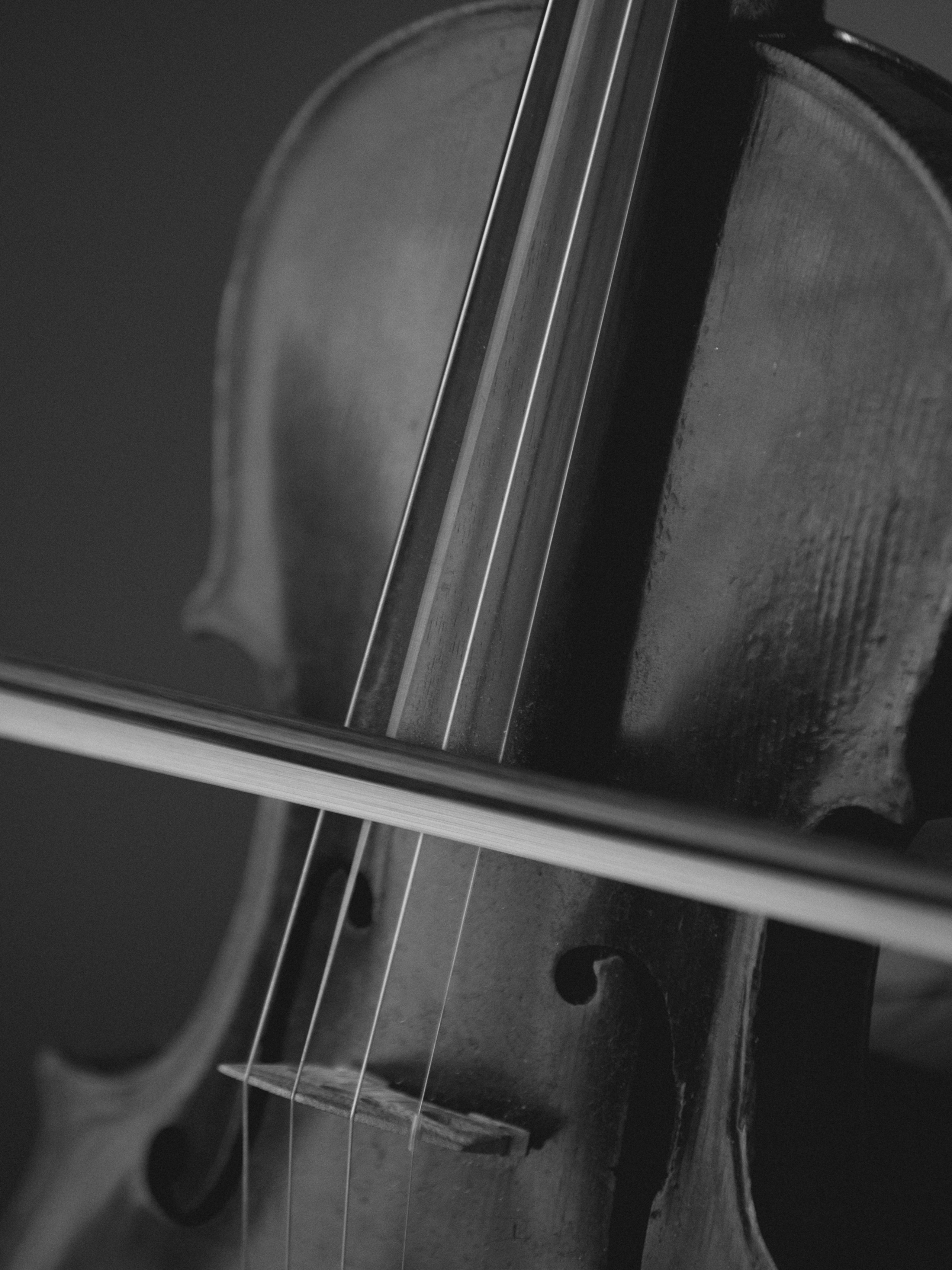 Илья и Алена. Свадебный фотограф Михаил Мирзоян