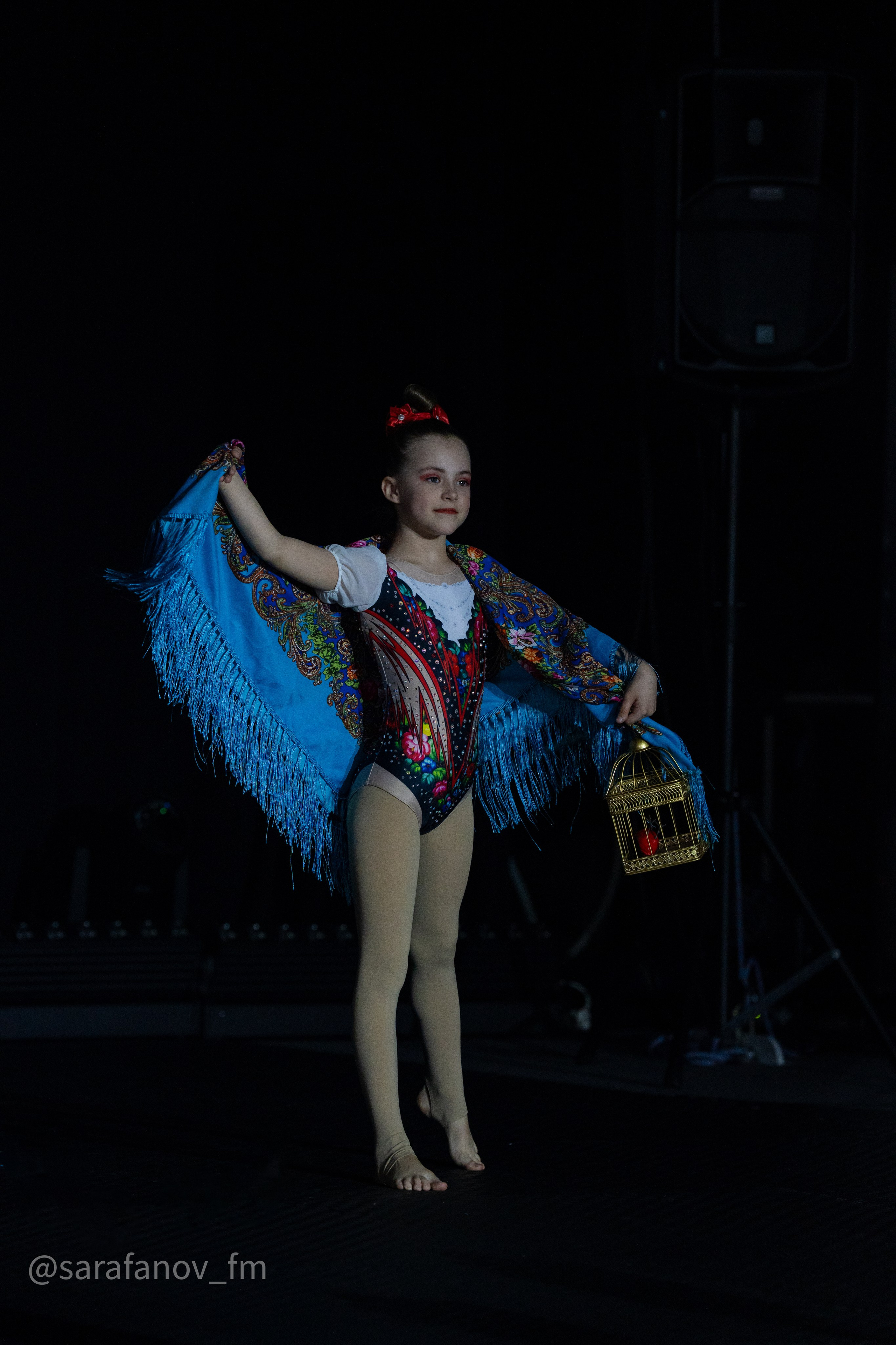 Соревнования — воздушная гимнастика. Фотограф Москва/ Дмитрий Сарафанов