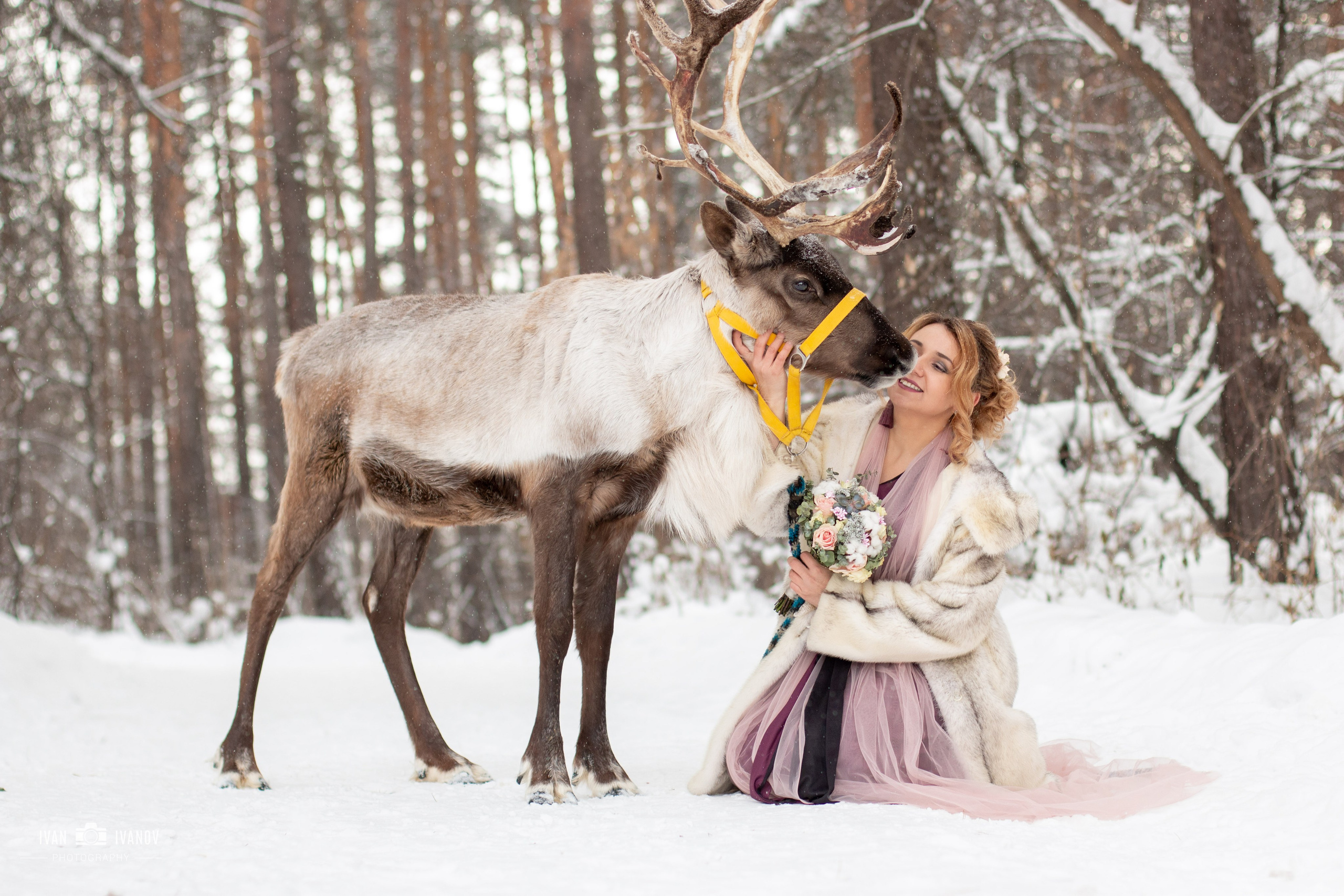 Фотосет с северным оленем. Свадебный и семейный фотограф в Новокузнецке Иван Иванов