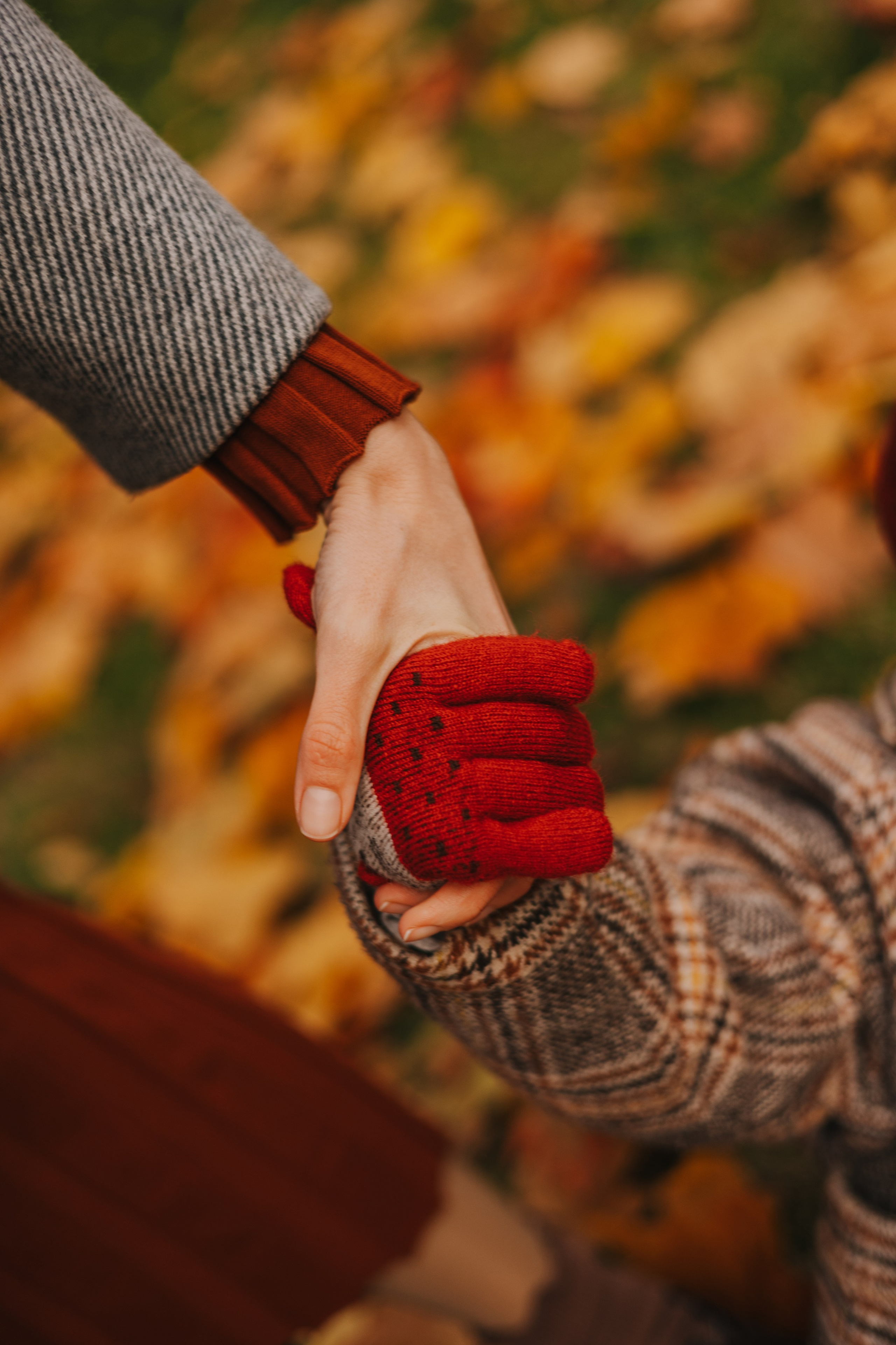Фотосессия Соня | Семейный фотограф в Москве | Лучшие моменты