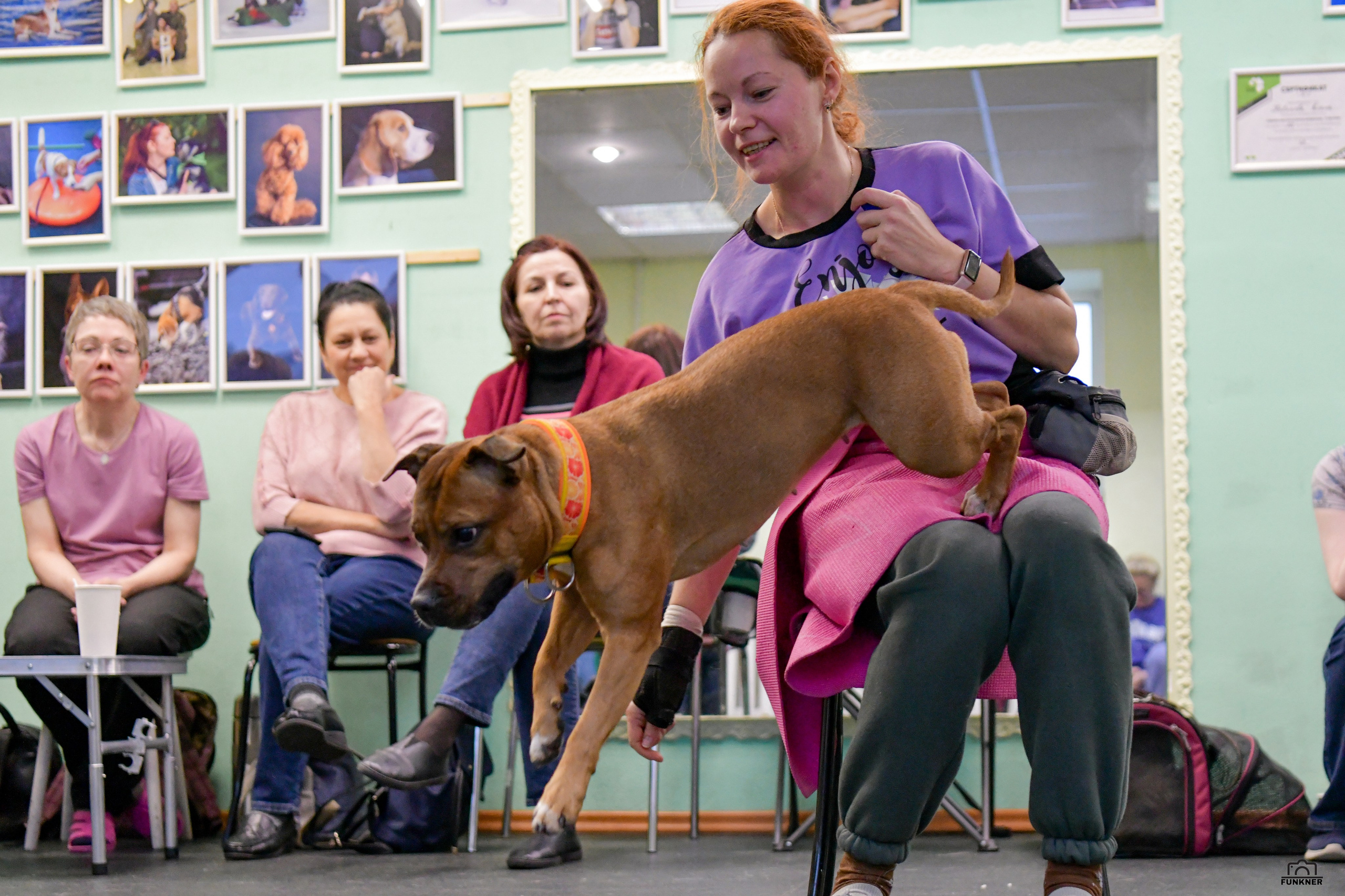 Кинологический клуб «Бодрый хвост». Свой взгляд через объектив