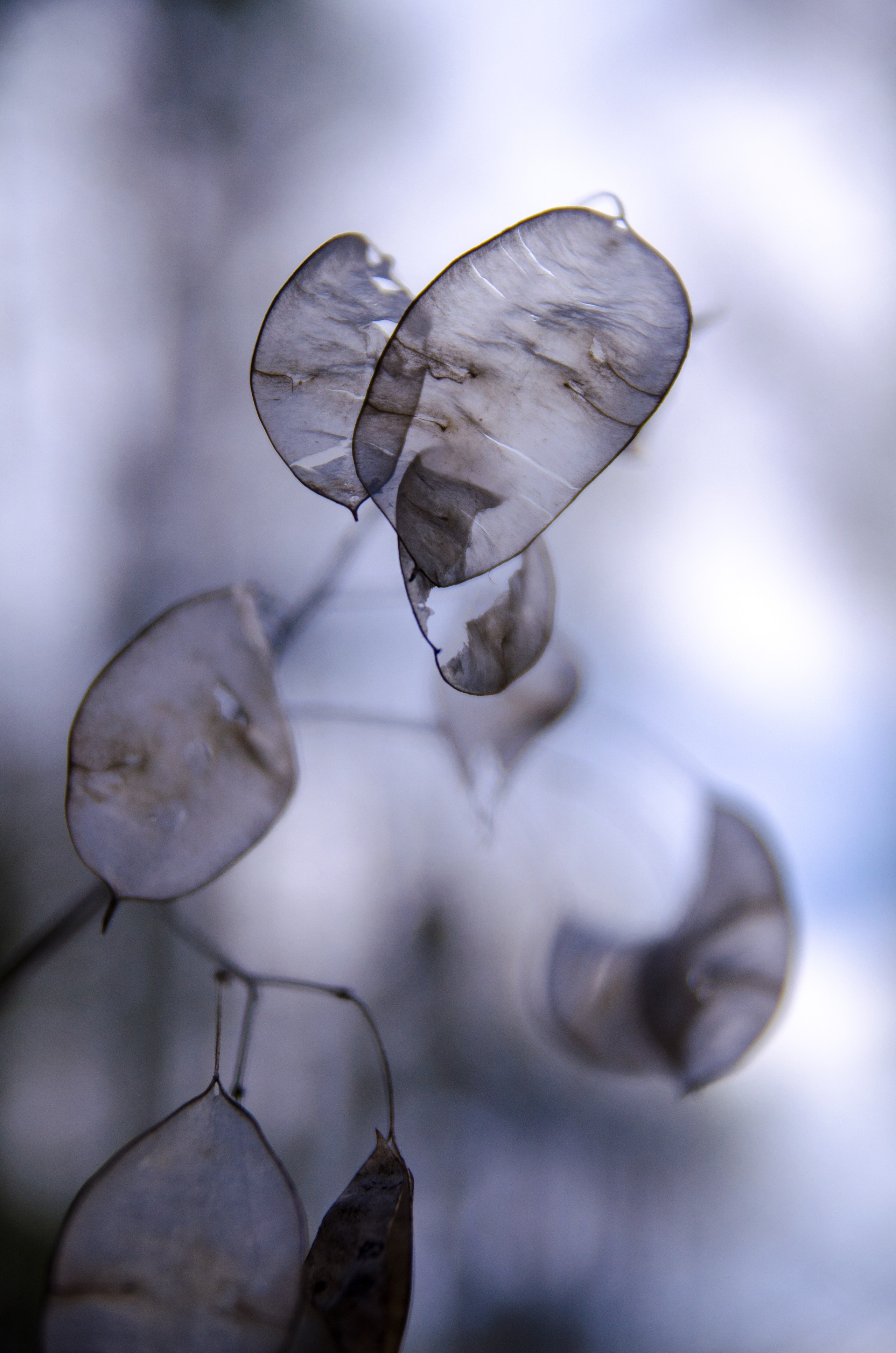 Репортаж. Фото, видео, монтаж