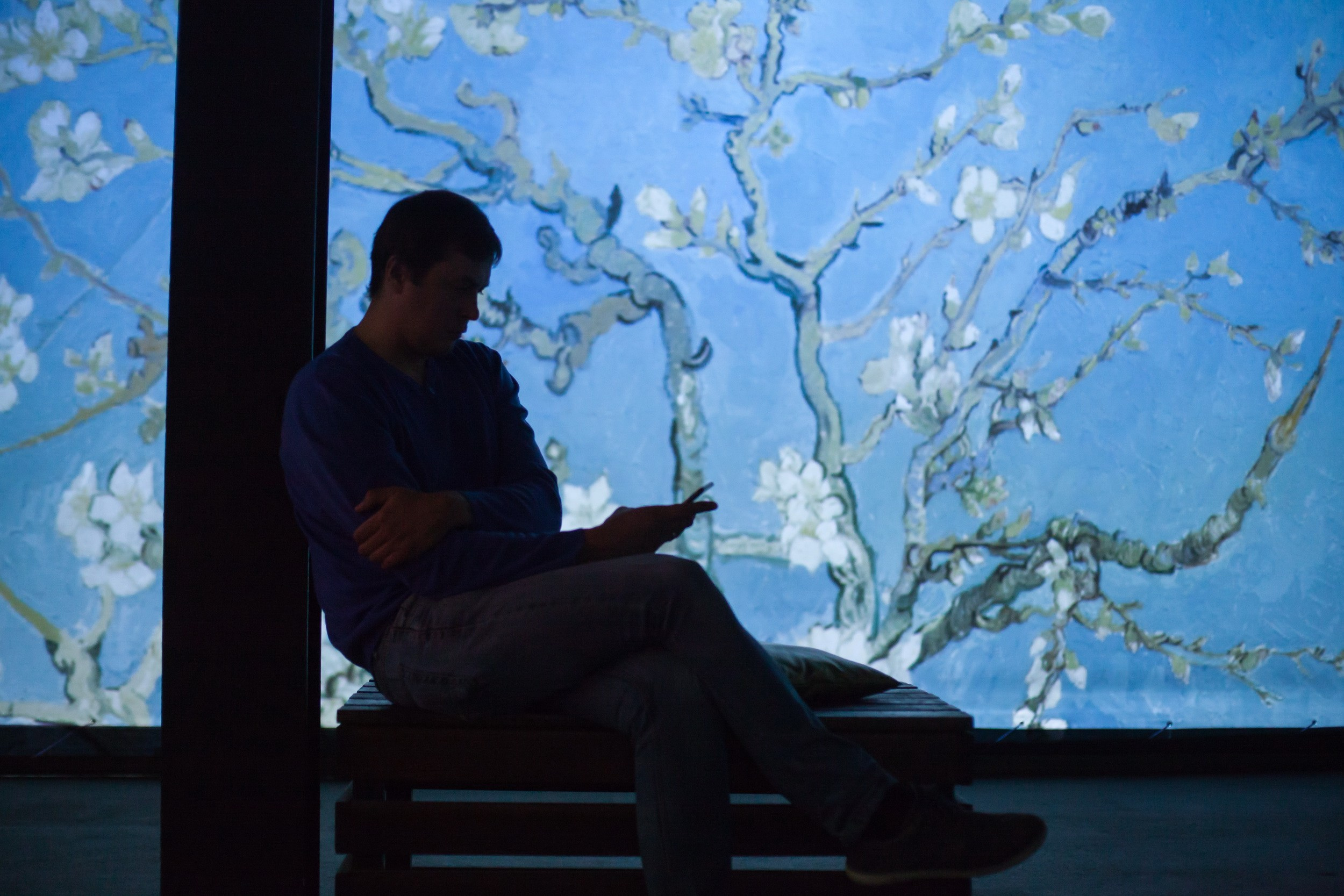 Выставка: «Ван Гог. Письма к Тео» (2 октября 2018). Репортажный фотограф Алексей Пирязев