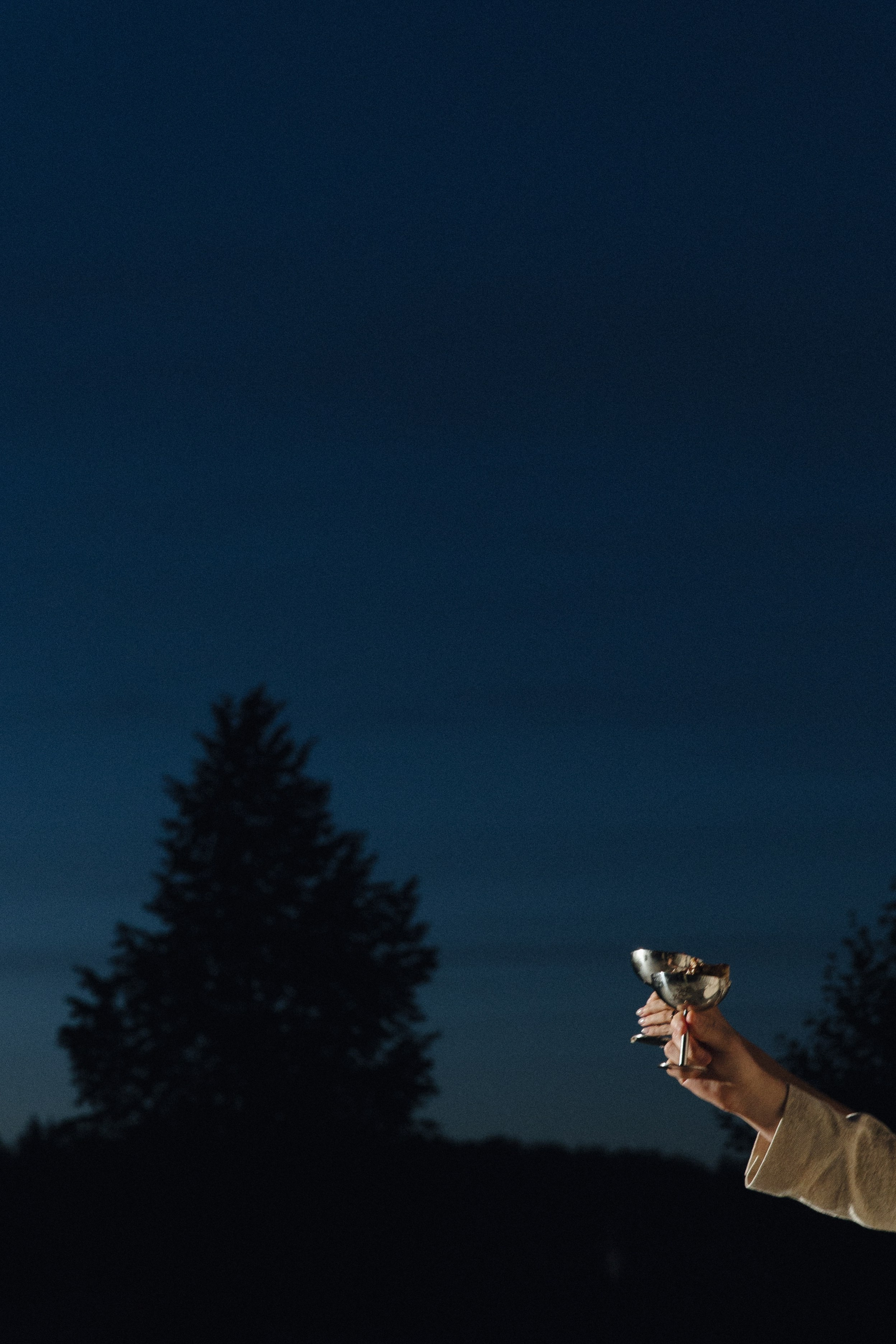 Fabrics of Forever. Свадебный фотограф в Москве Дмитрий Тарасов