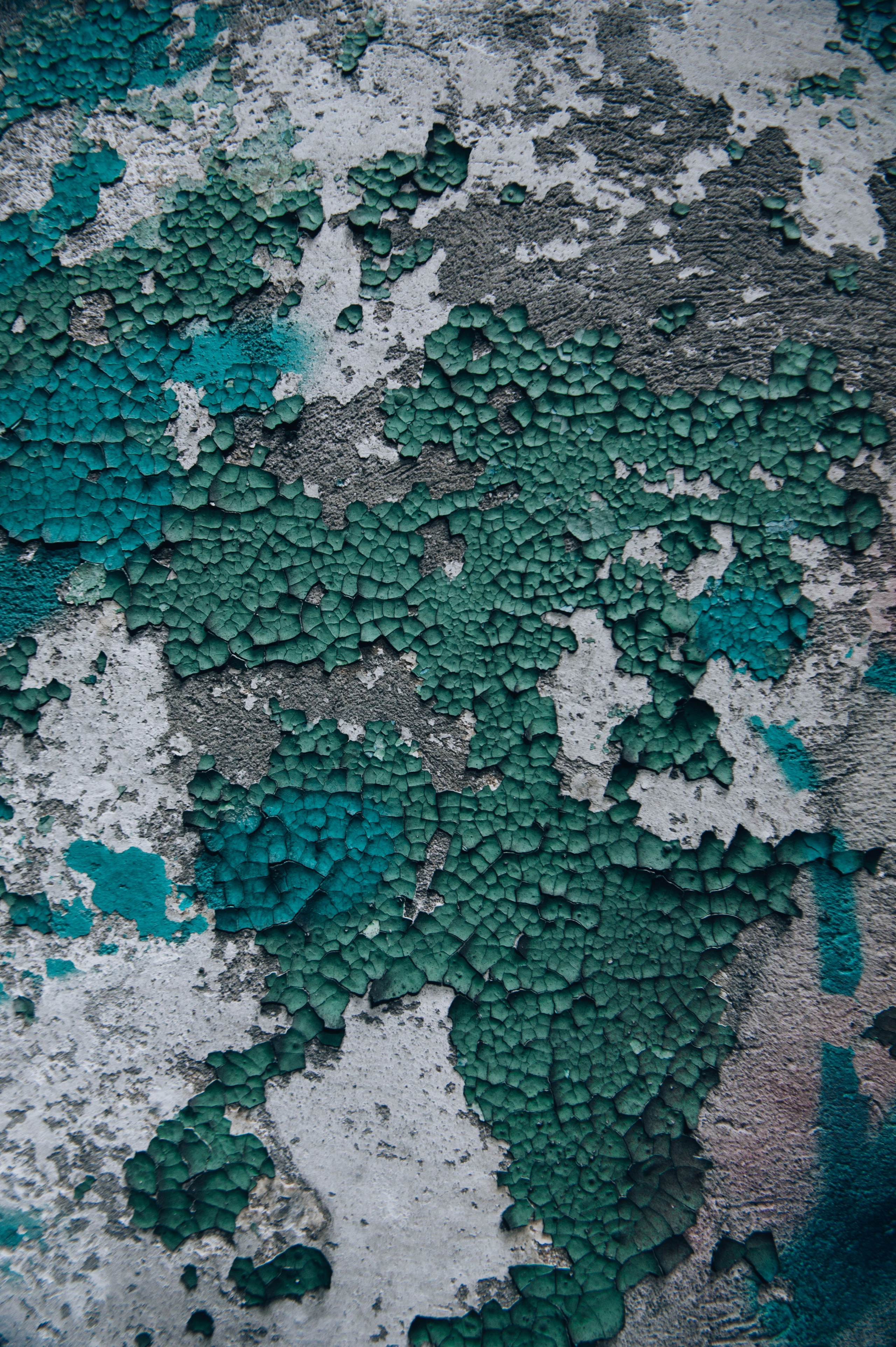 Завод «Красный треугольник». Руины. Портретный и лайфстайл фотограф в Санкт-Петербурге