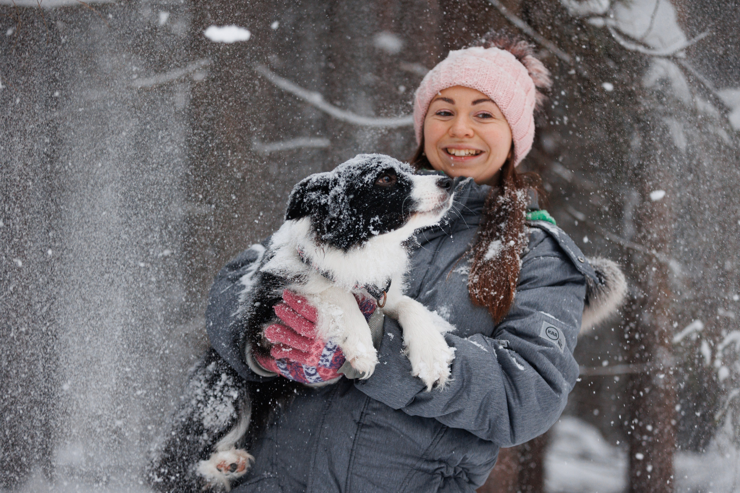 Даша и компания. Фотограф анималист Кристина Карпова, Москва