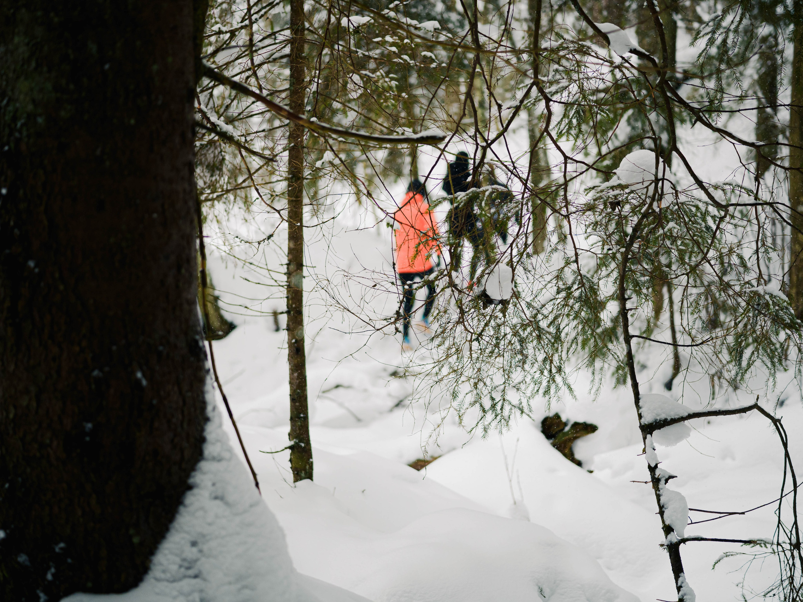 Skuratov Trail Run. Портретный и репортажный фотограф в Санкт-Петербурге Смоляков Максим