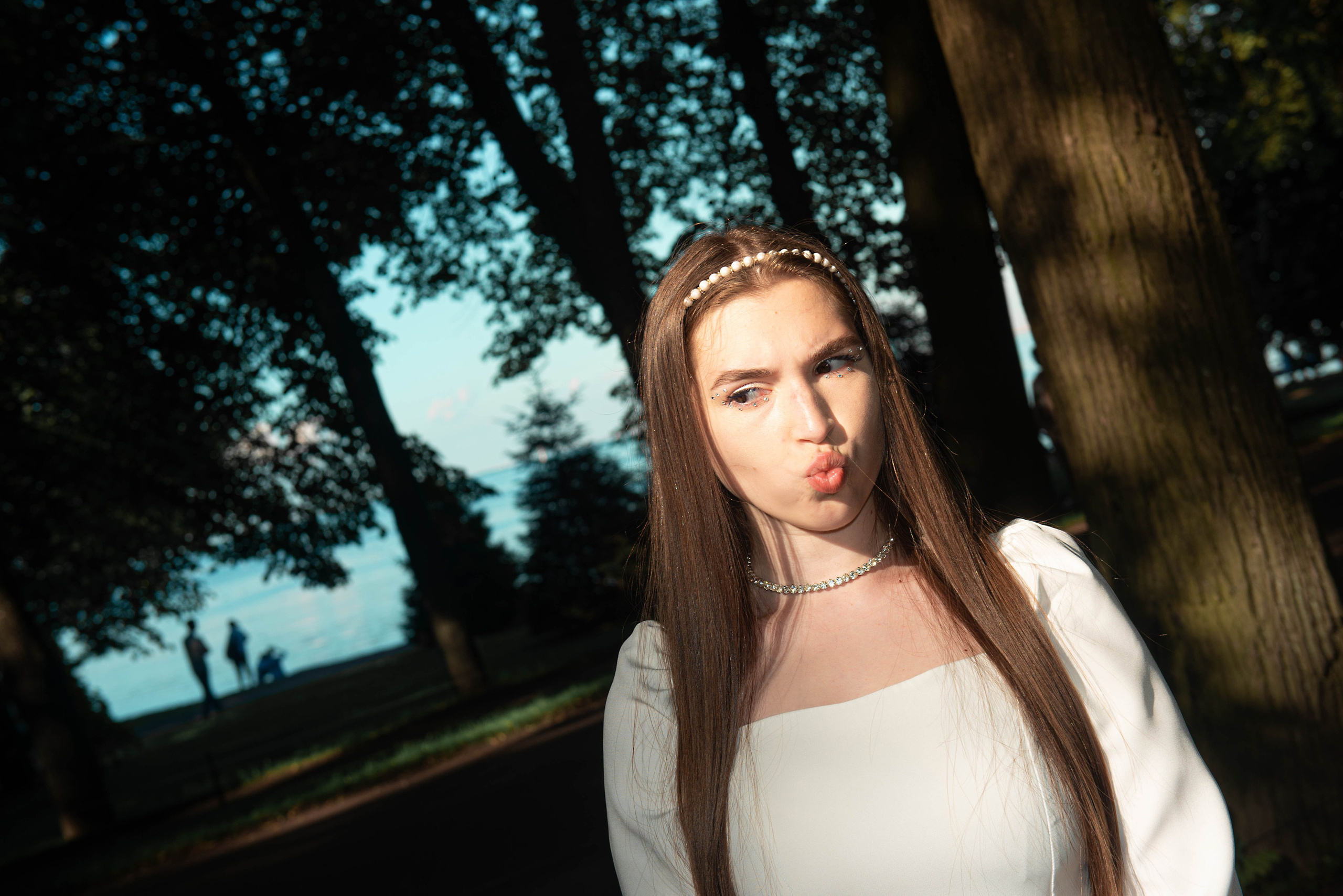 Влада. Главная