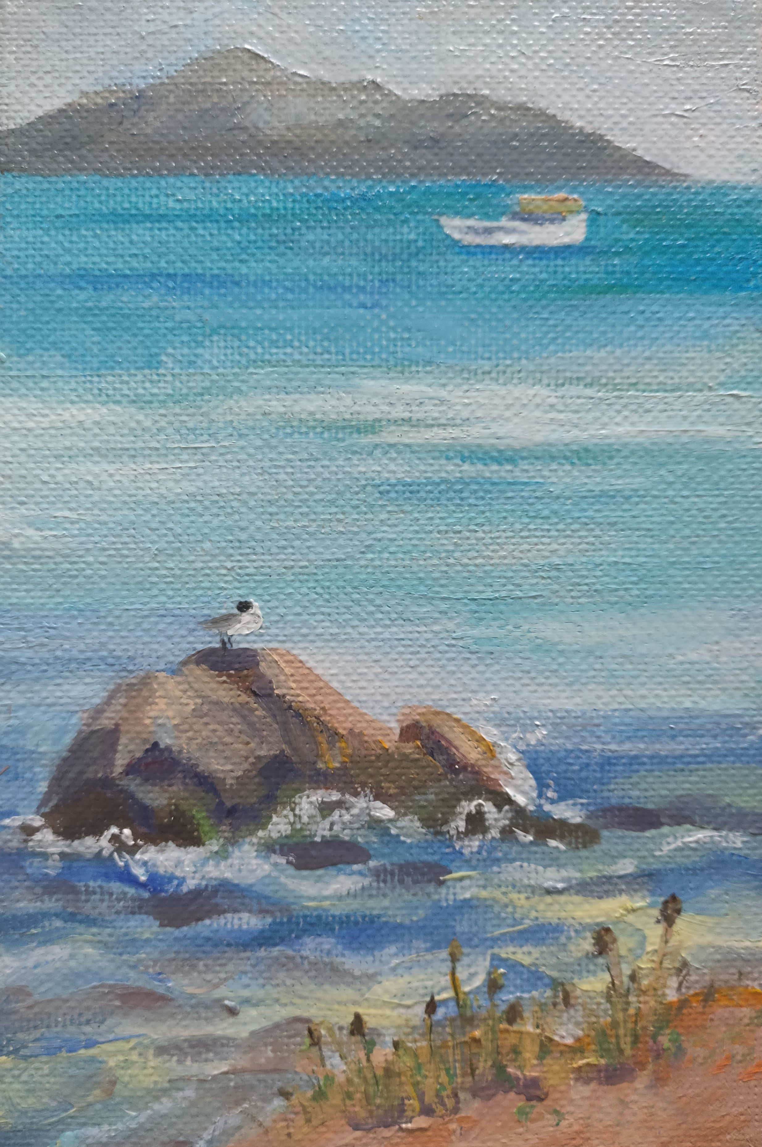 "Чайка на камне, Хорватия", холст / масло, 2019