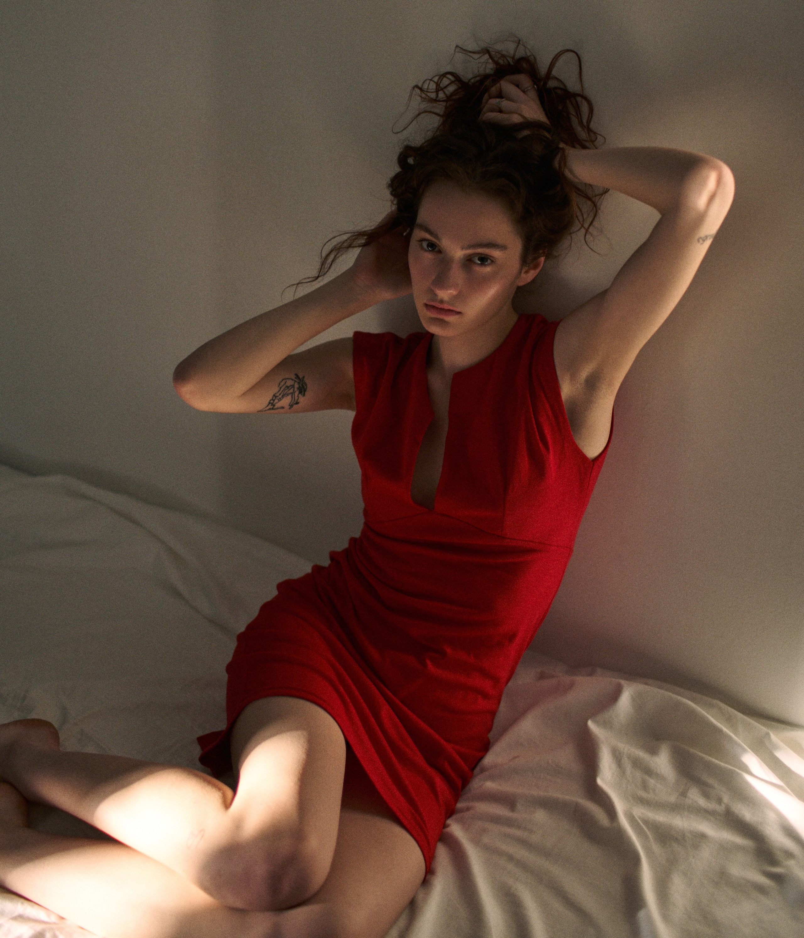 Теплая фотография  лучах закатного солнца 