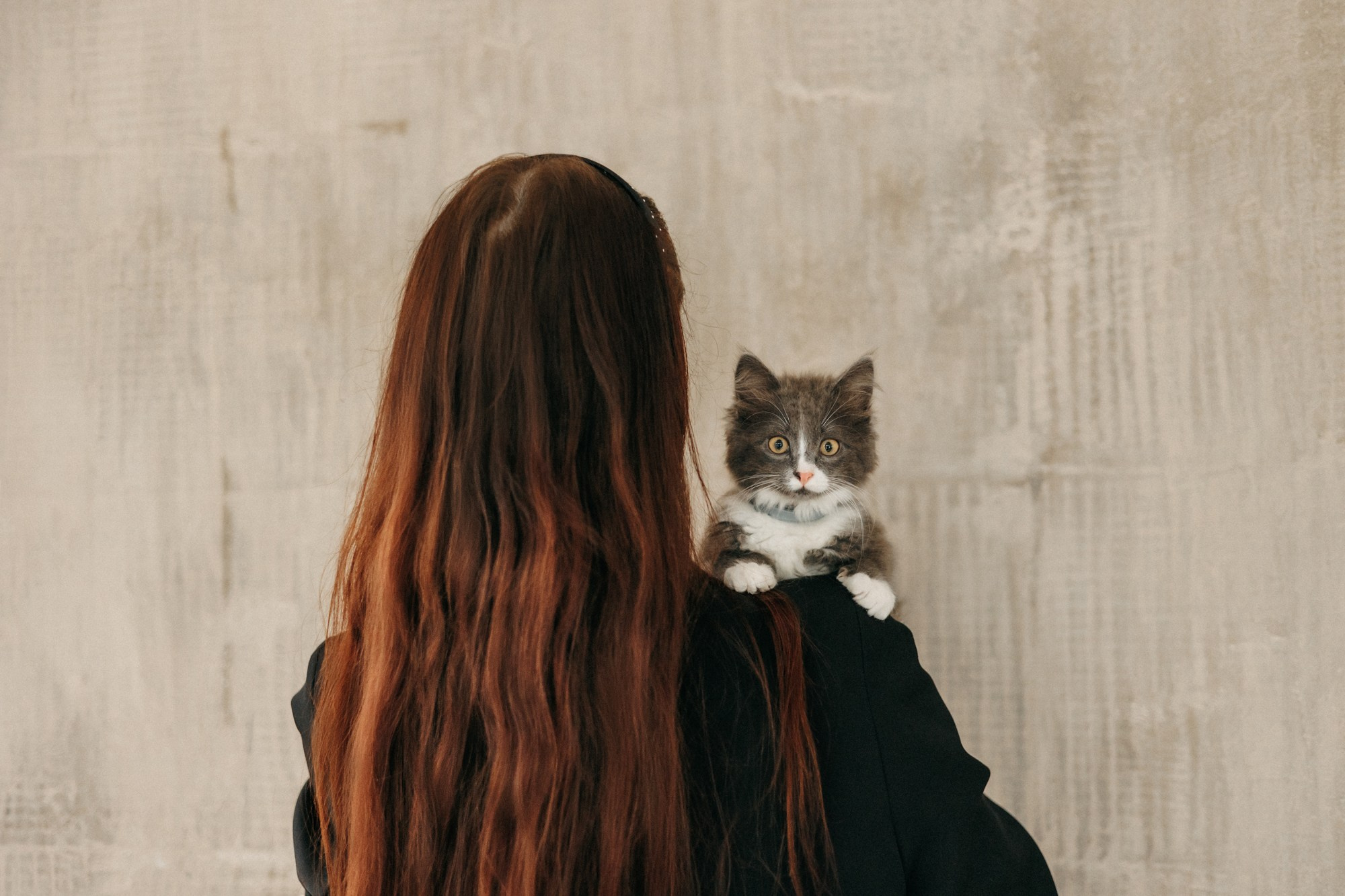 Корма Alpha Pet. Фотограф-анималист Елена Радченко, Москва