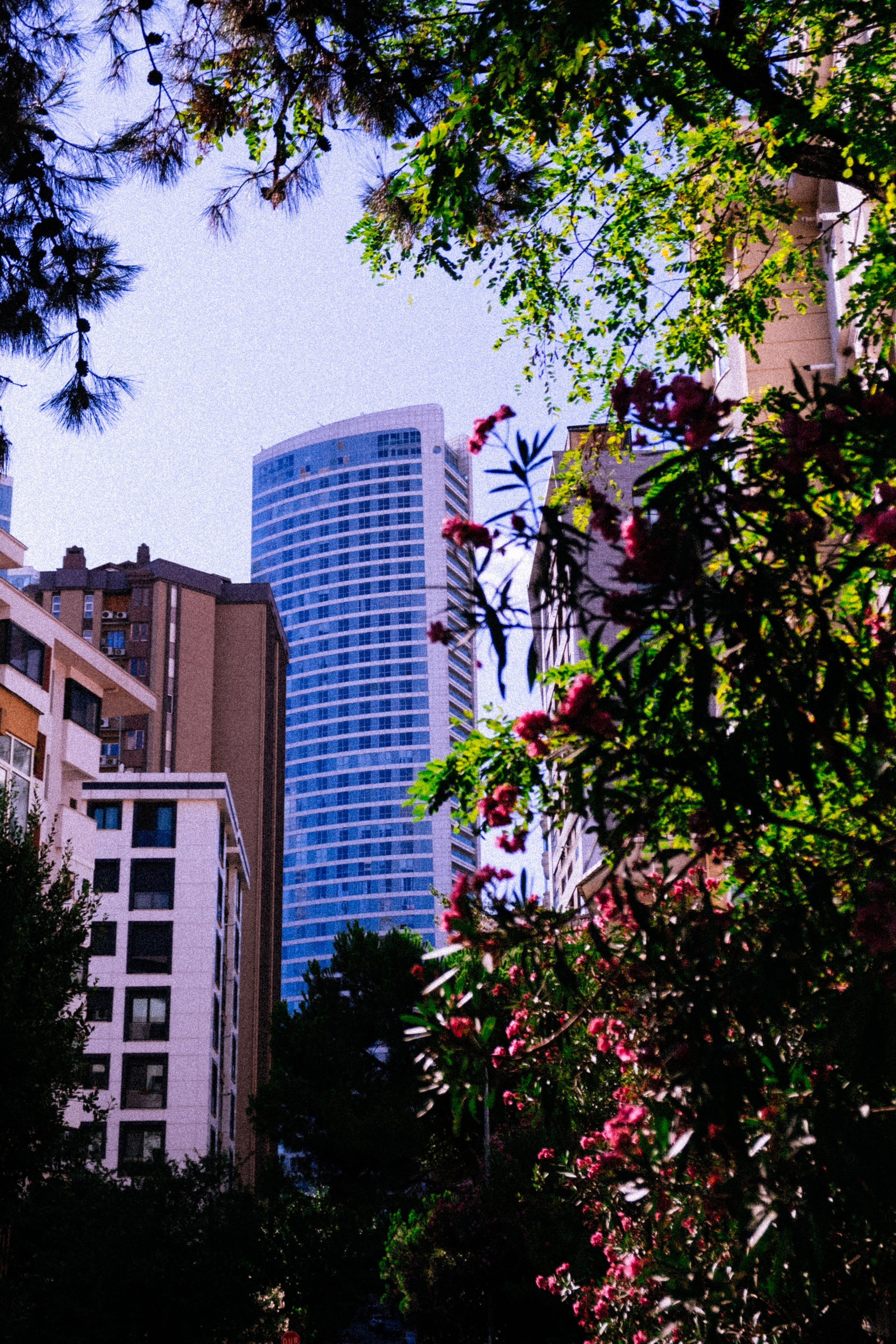 SOMEWHERE. Репортажный фотограф Москва