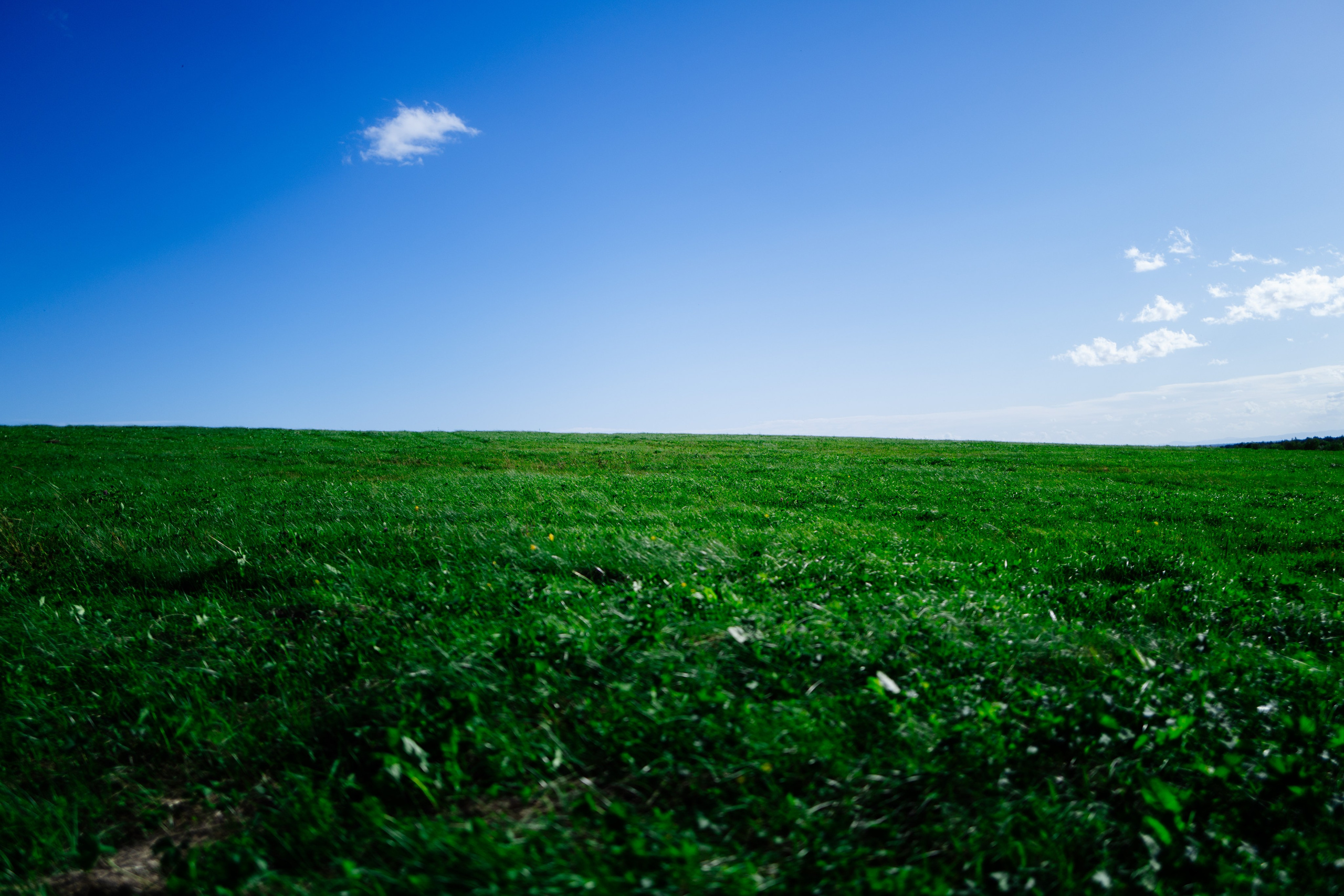 SOMEWHERE. Репортажный фотограф Москва