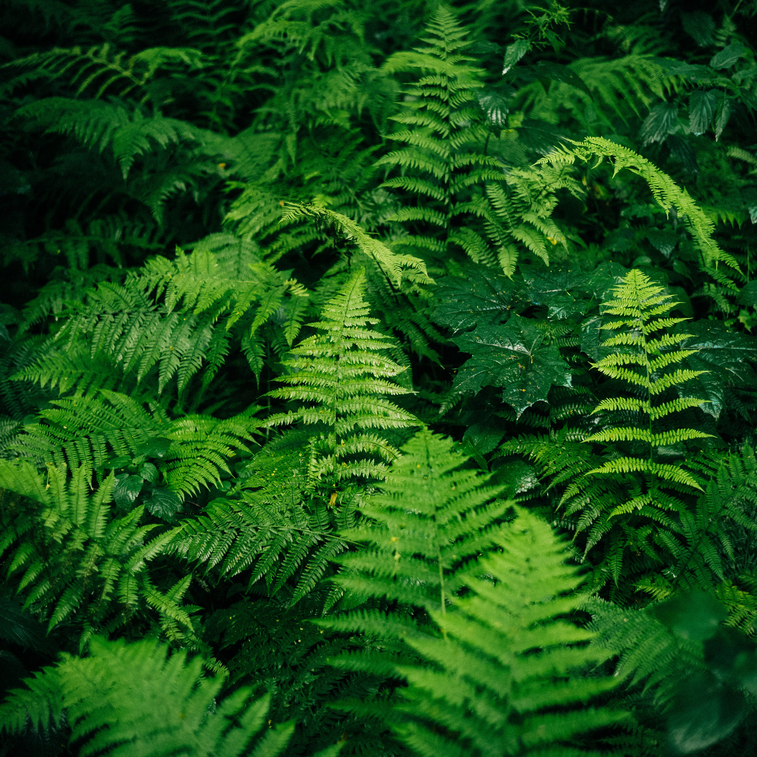SOMEWHERE. Репортажный фотограф Москва