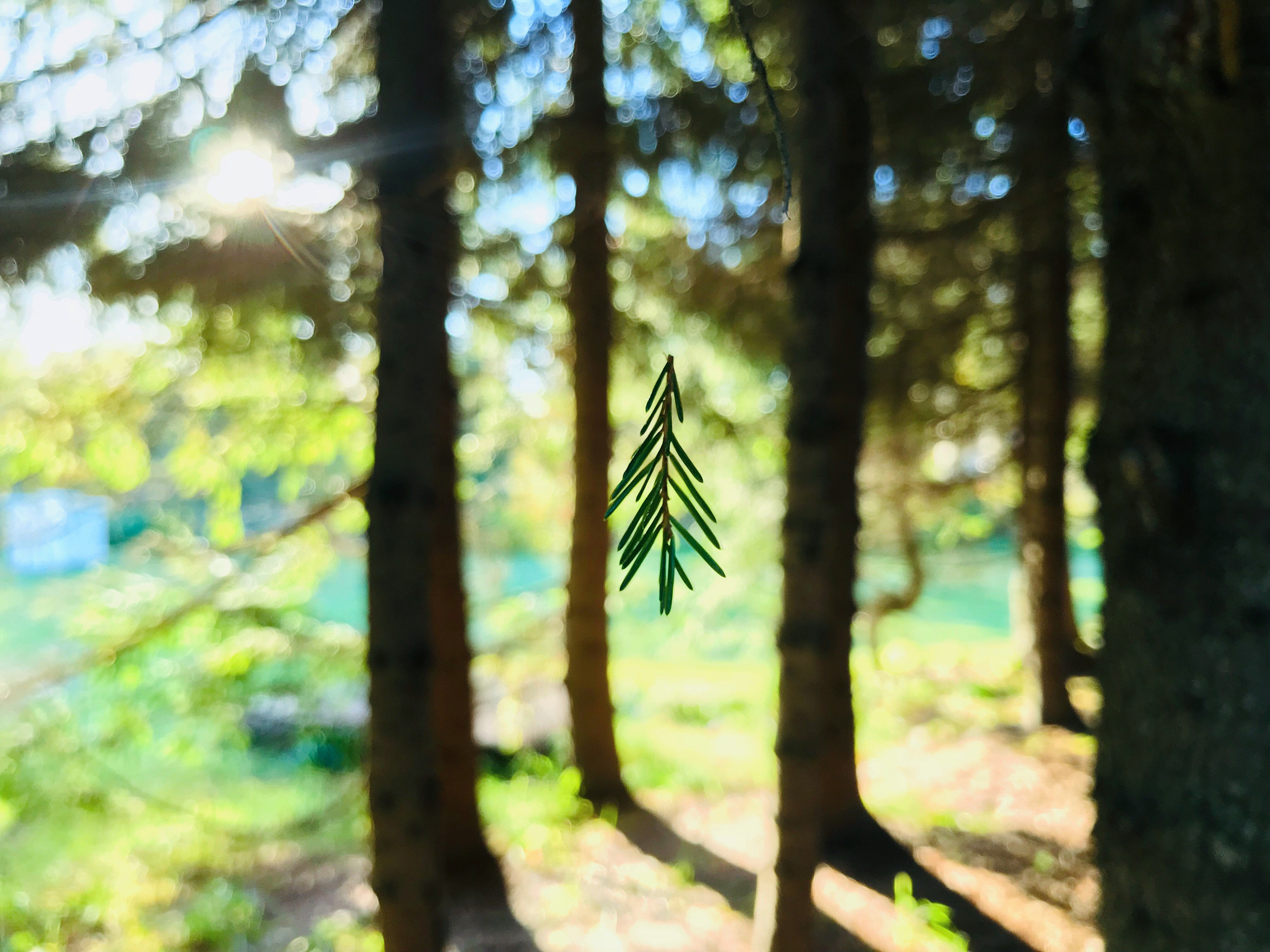 SOMEWHERE. Репортажный фотограф Москва