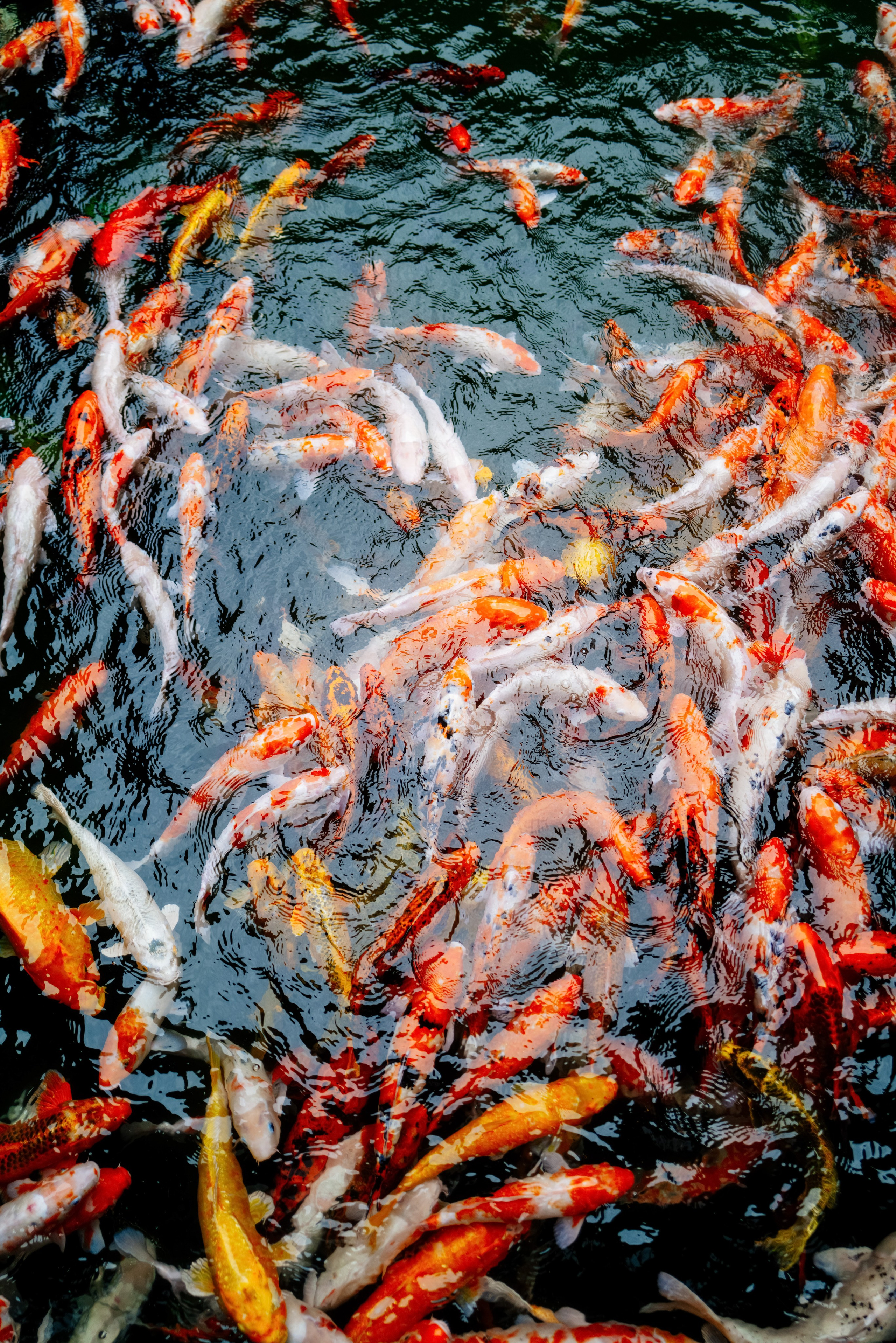 SOMEWHERE. Репортажный фотограф Москва