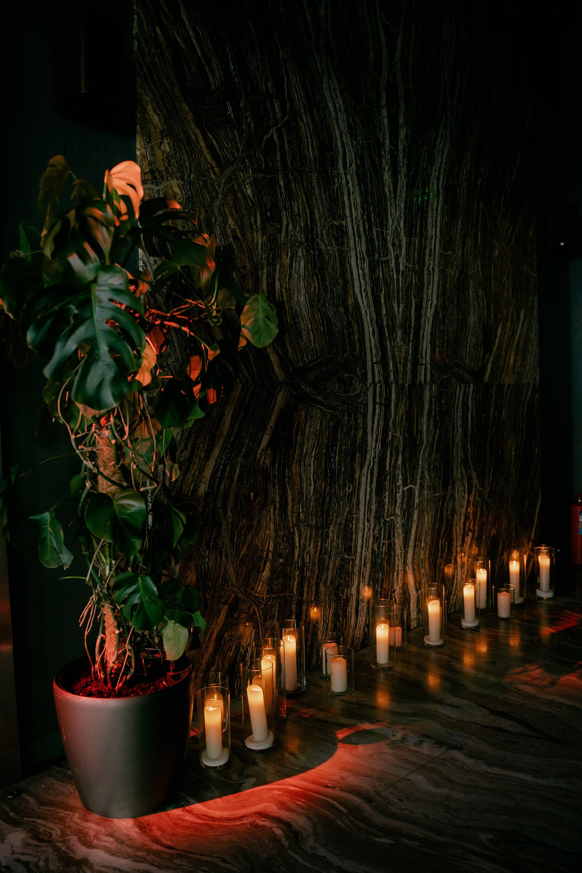 ДР Настя. Фотограф на мероприятие