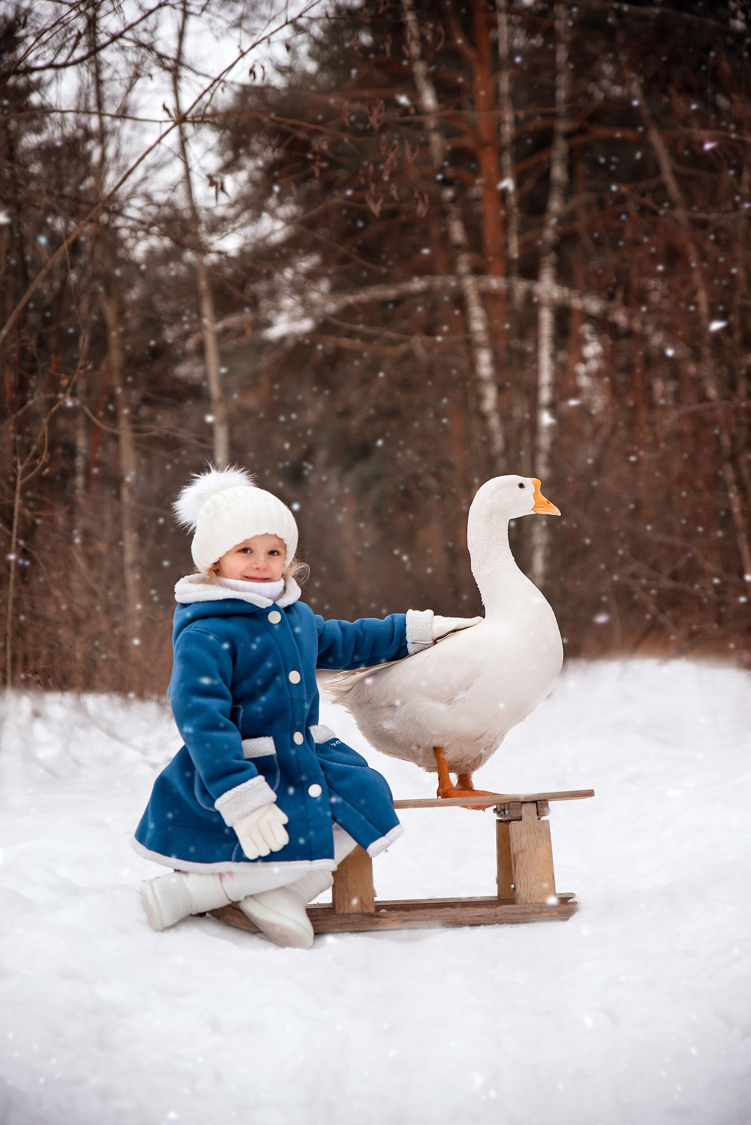 Гусь. Фотограф в Москве Lidiya_Li_Photo