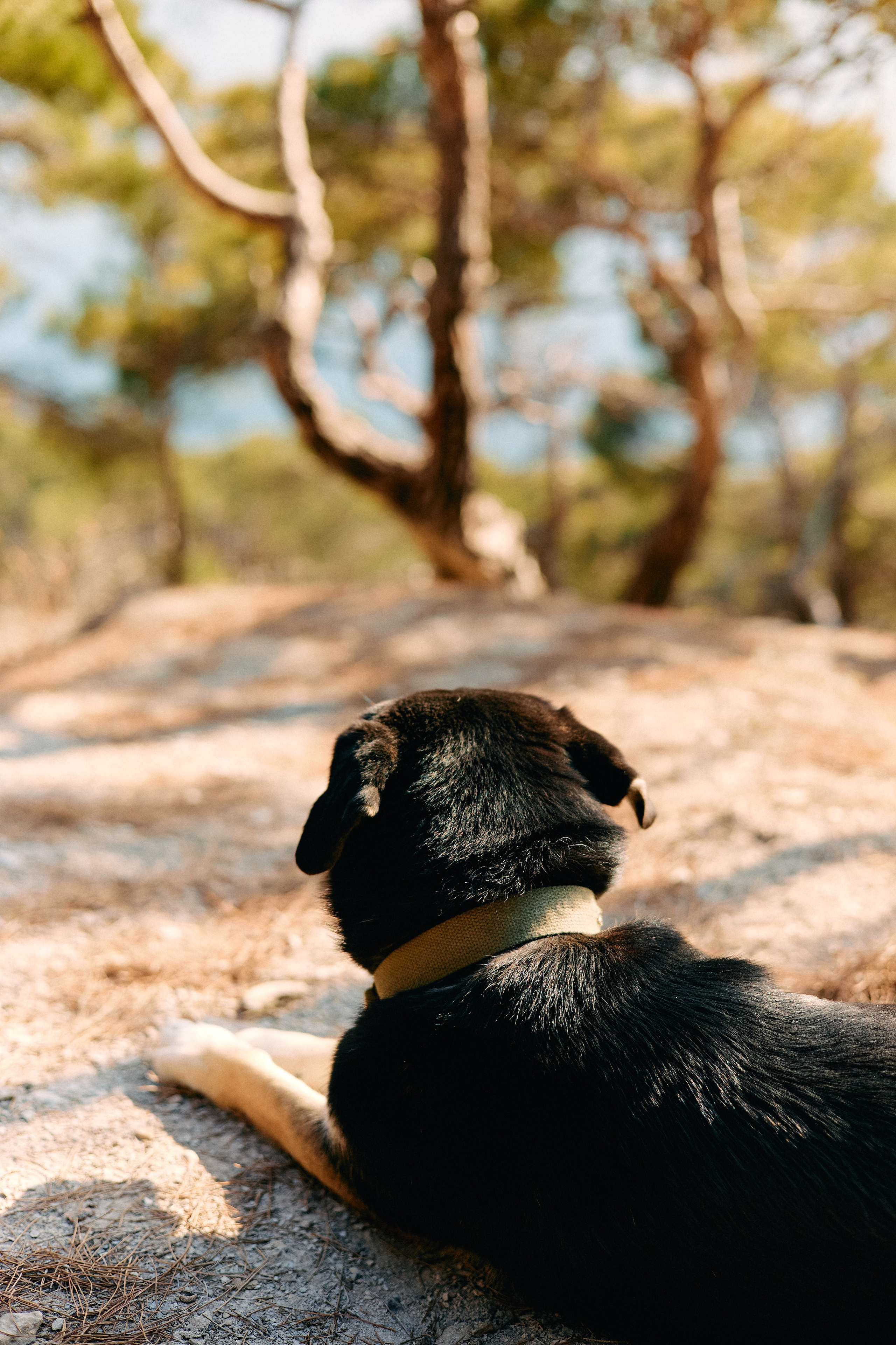 Юг России. Профессиональный Фотограф во Владимире, в Москве и в Суздале — Полина Романычева