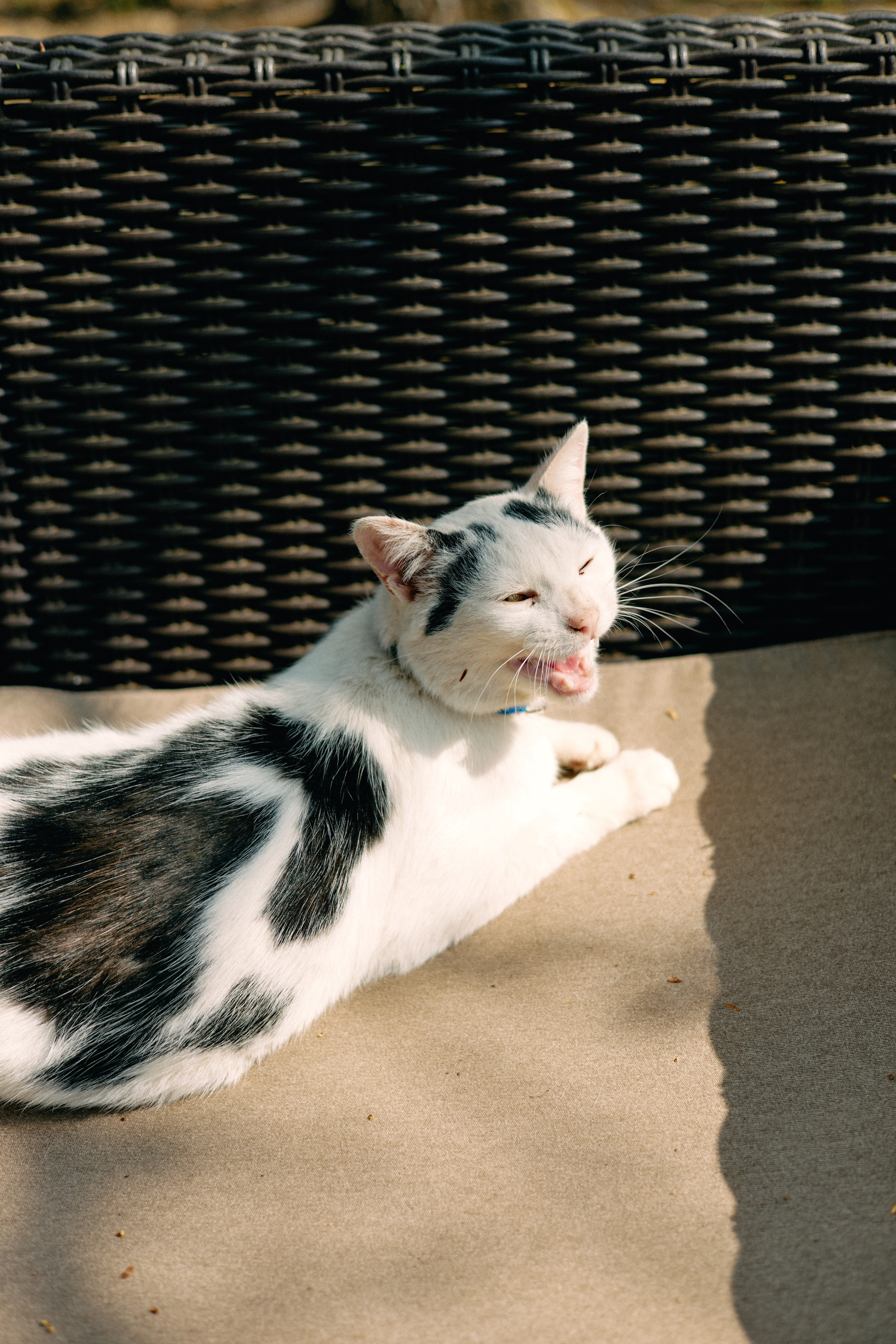 Бутик-отель Поле летом. Профессиональный Фотограф во Владимире, в Москве и в Суздале — Полина Романычева