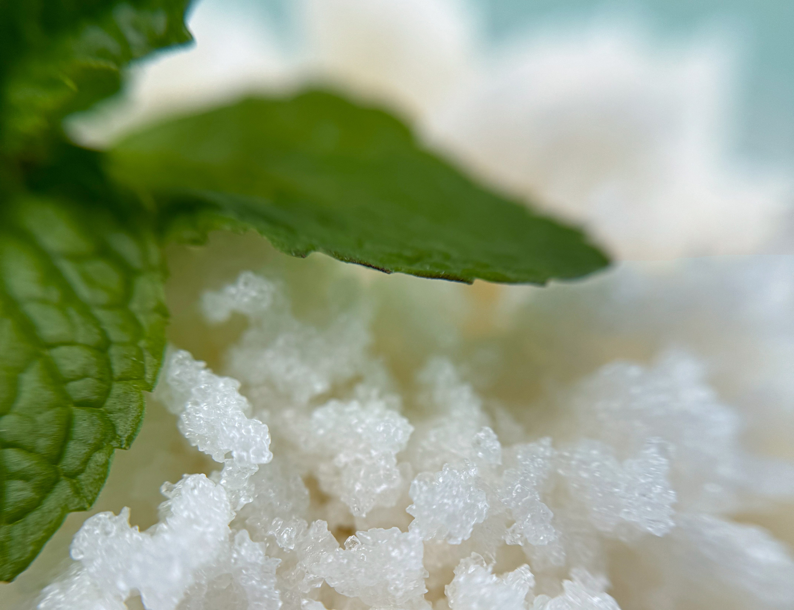 Предметная съемка. Фотограф Марина Никитина