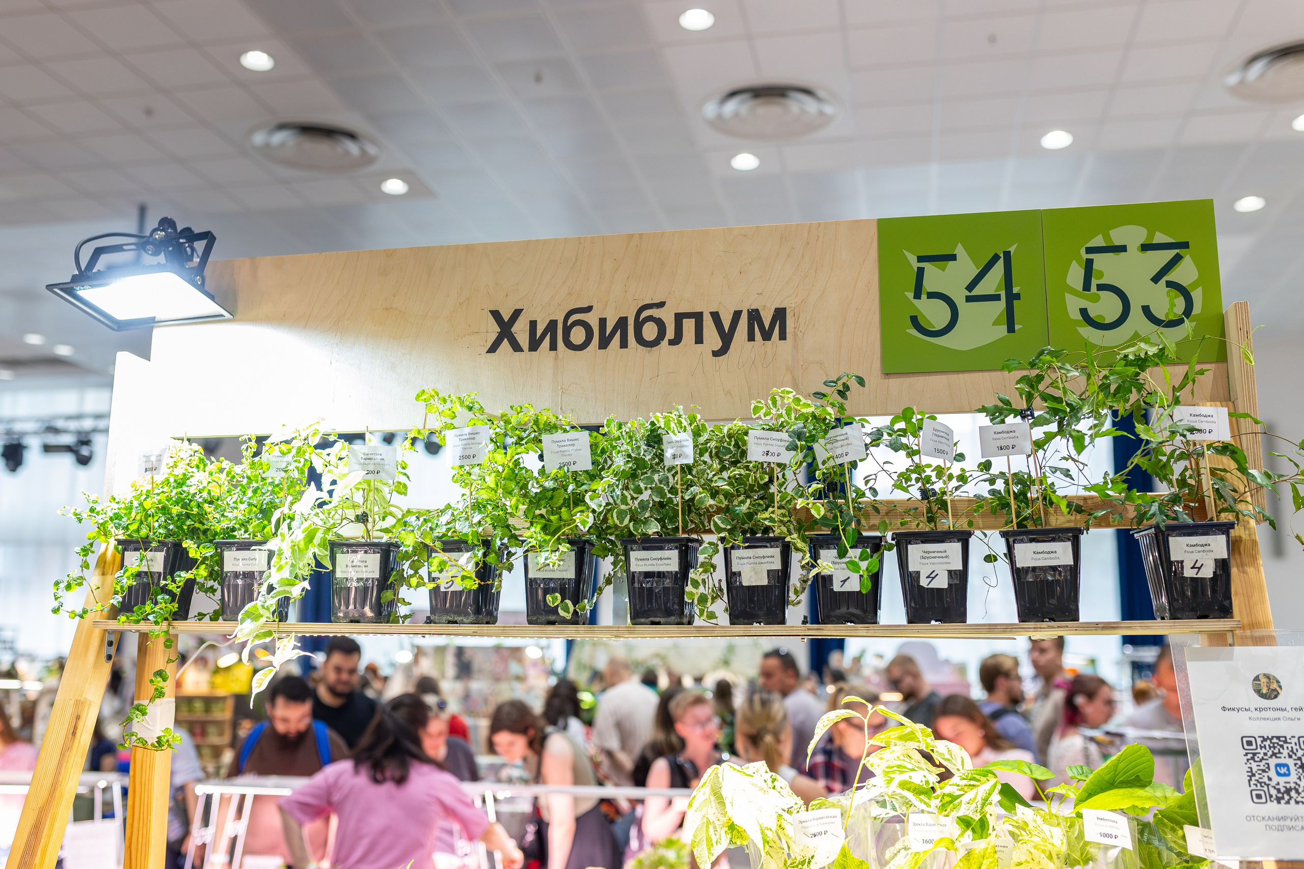 Гроубокс Амбер Плаза. Александра Куликова фотограф, Москва