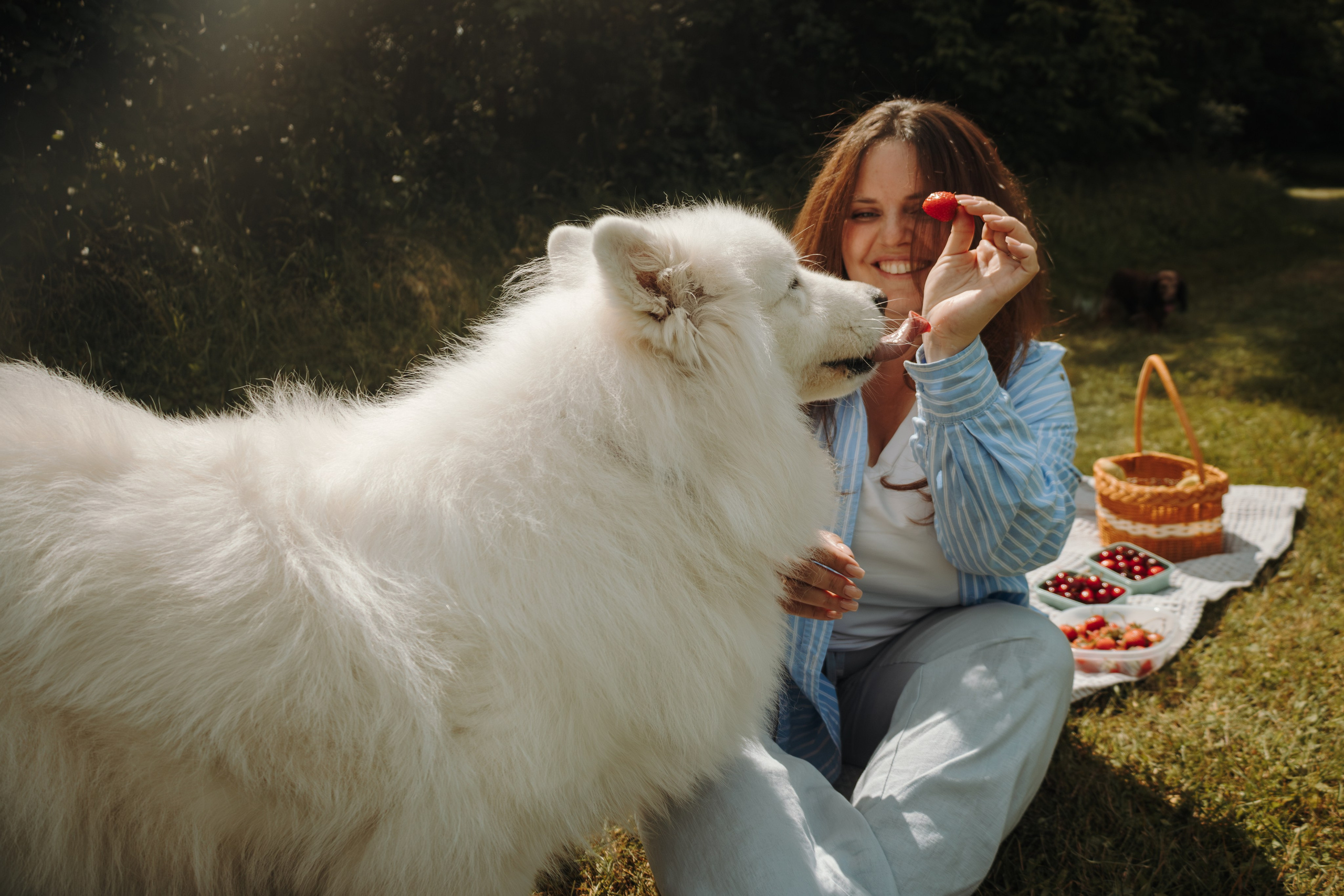 Семейная фотосессия с собаками в парке. Фотограф-анималист в Москве Екатерина Тихонова