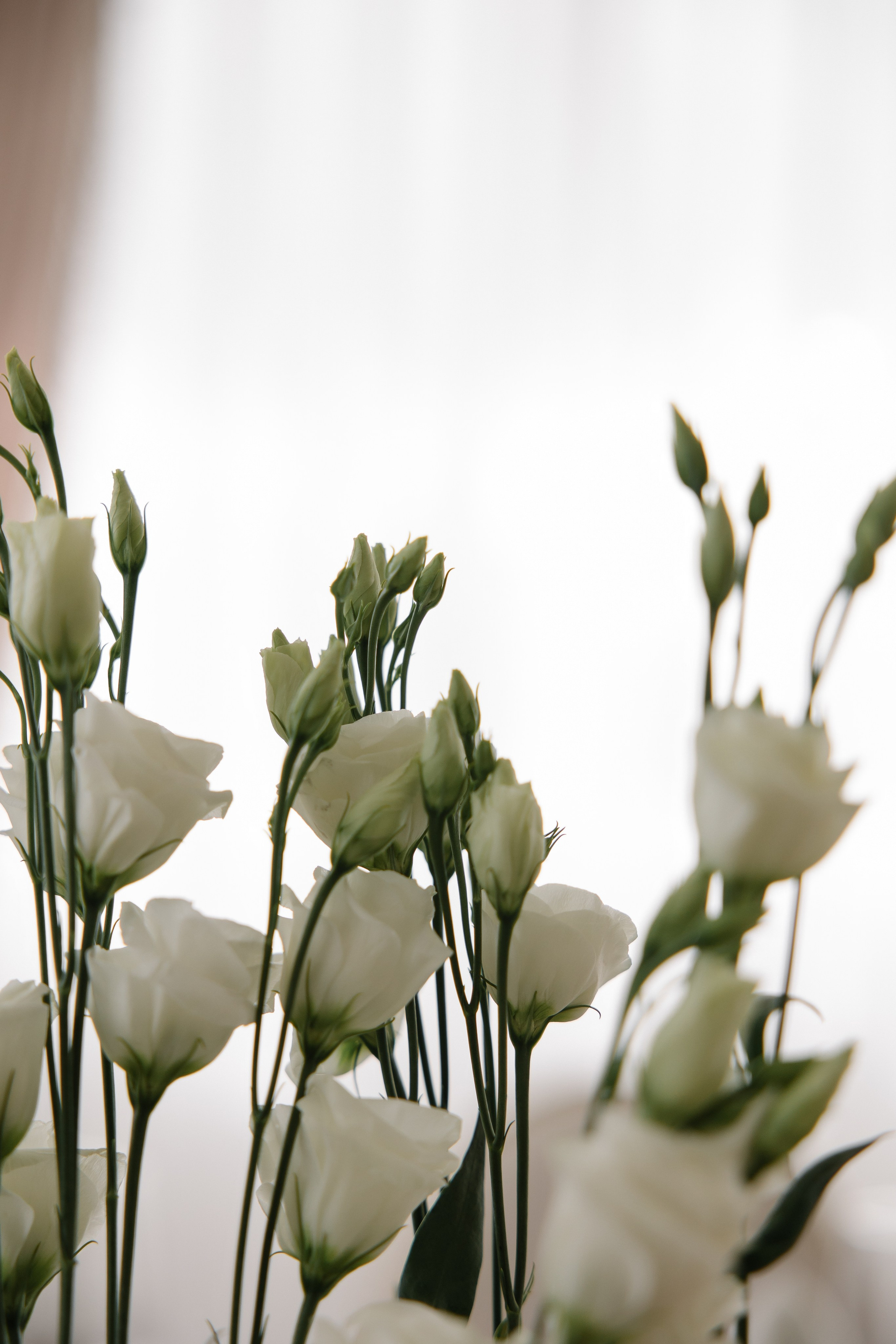 Тимур и Алия. Свадебный и семейный фотограф в Набережных Челнах и Казани