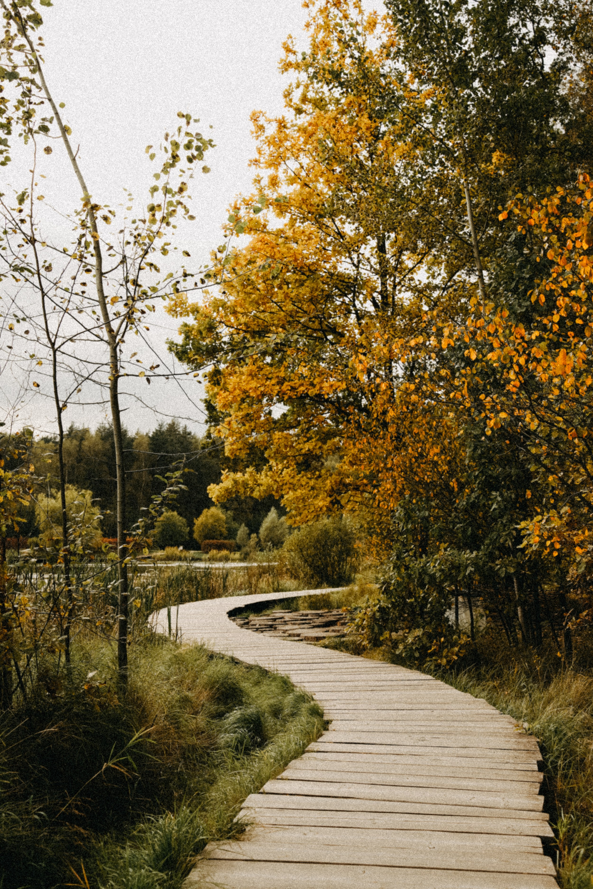 Осень 2025. Фотограф из Москвы — DASHA NOVA | Авторская фотография в разных жанрах