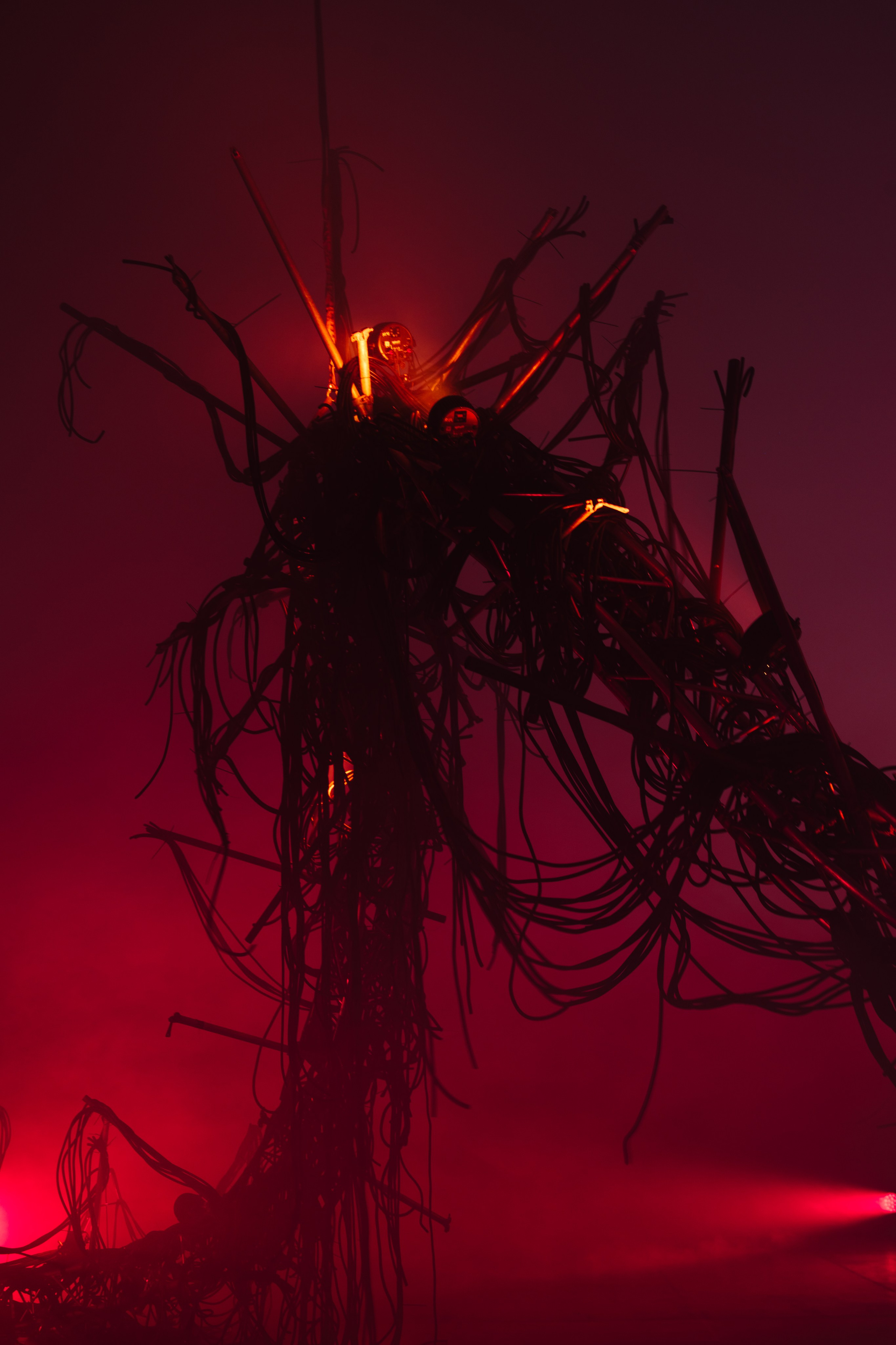 PANTERRA, CHRONOMORPH 001. @tomrus: Рустам Шагиморданов — фотограф