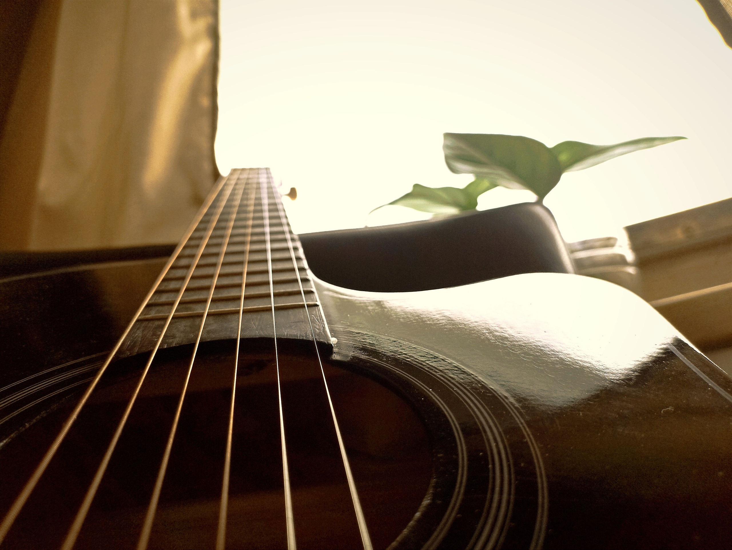 Мобильная фотография. Фотограф г. Владивосток