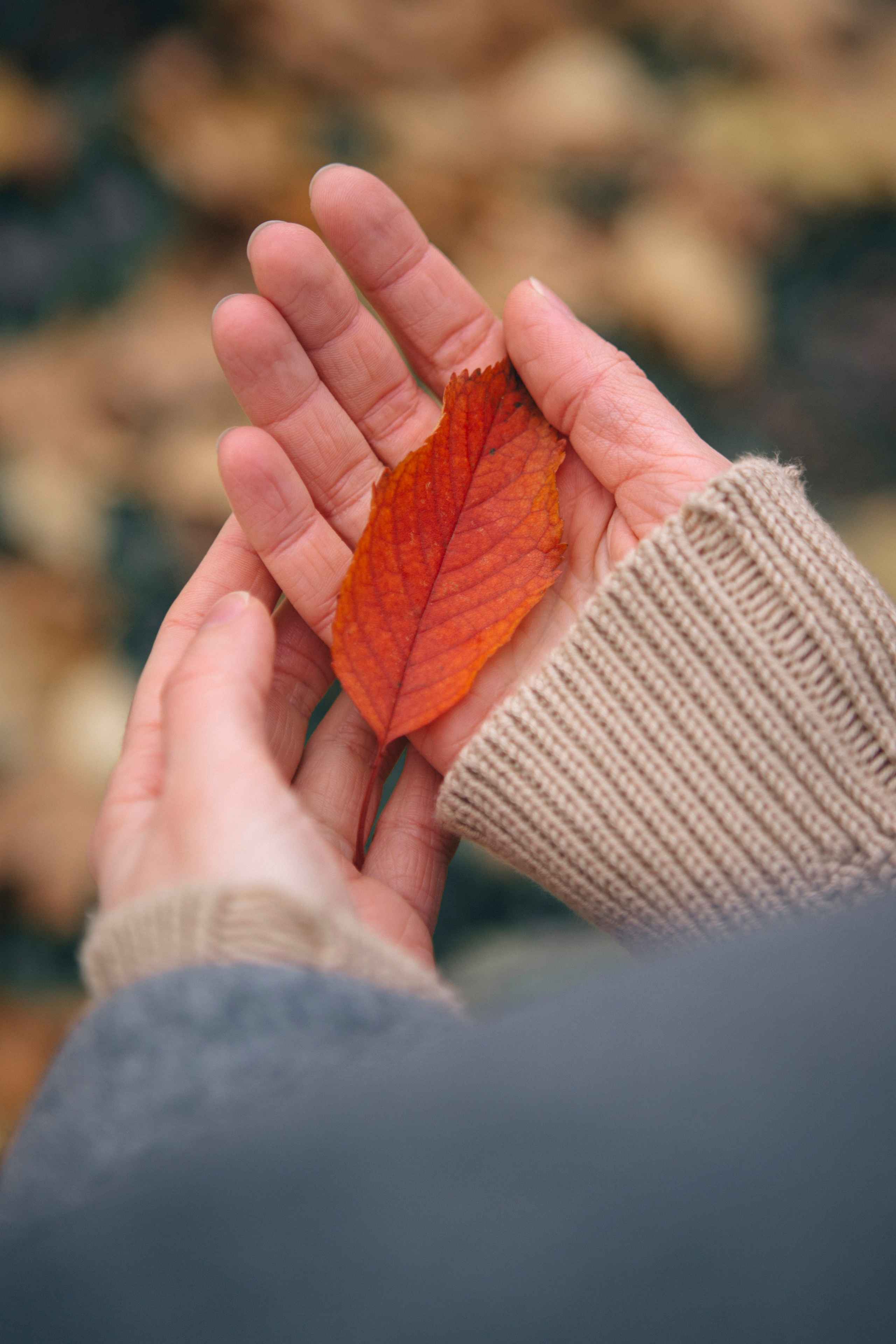 Исчезнувшая. Портретный фотограф в Минске