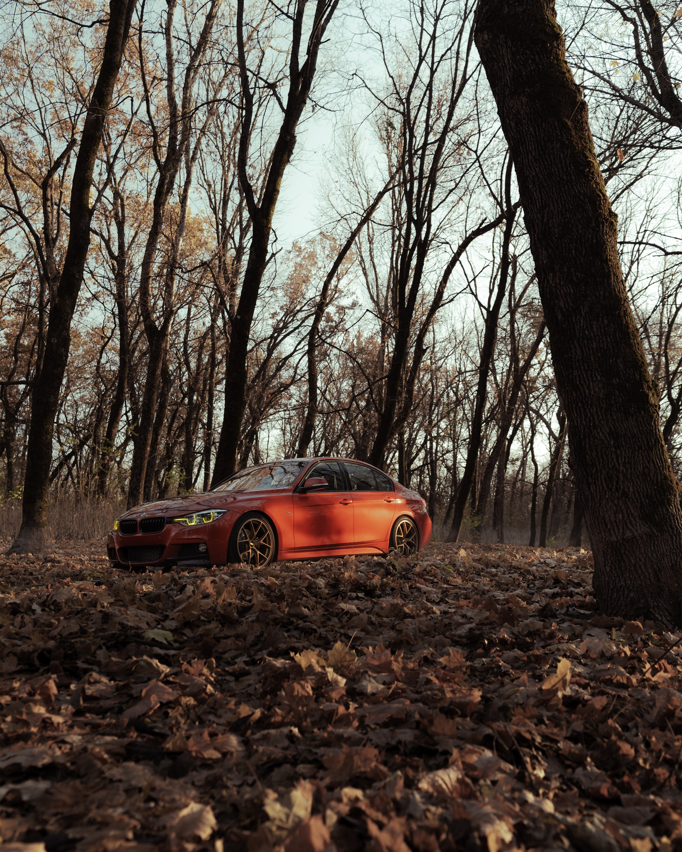 //4Series / MaxBotov. Автомобильный фотограф