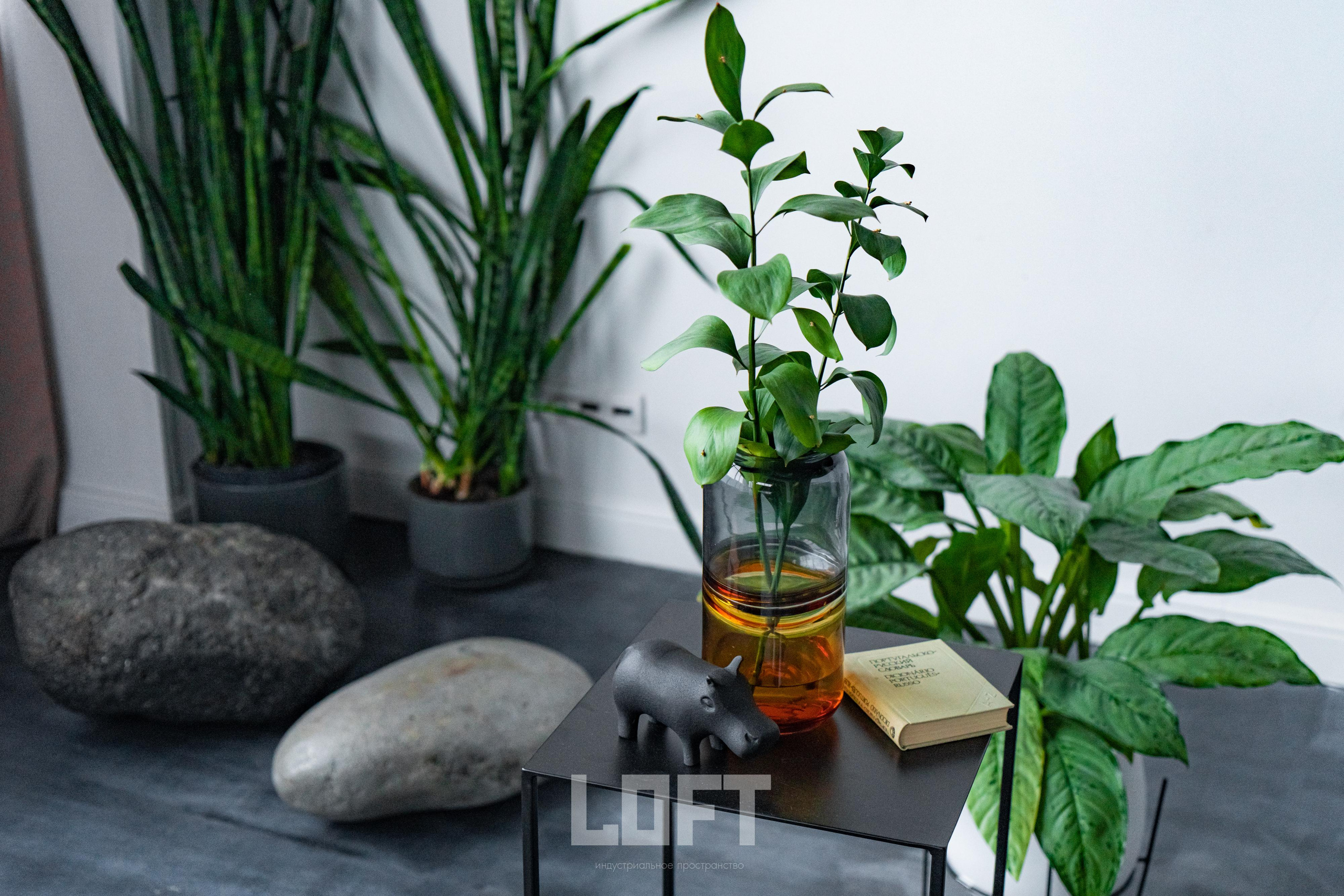 Karl. Киноцех «5loft» видеостудия в Ижевске