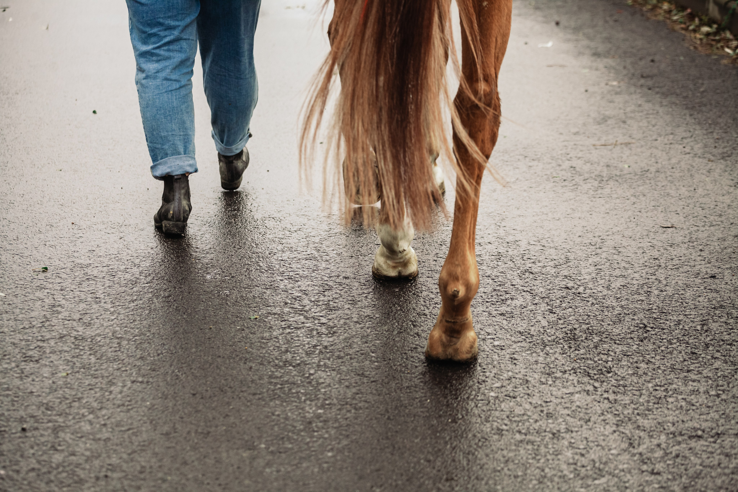 Лена и Рэджи. Фотограф-анималист Татьяна Степанова